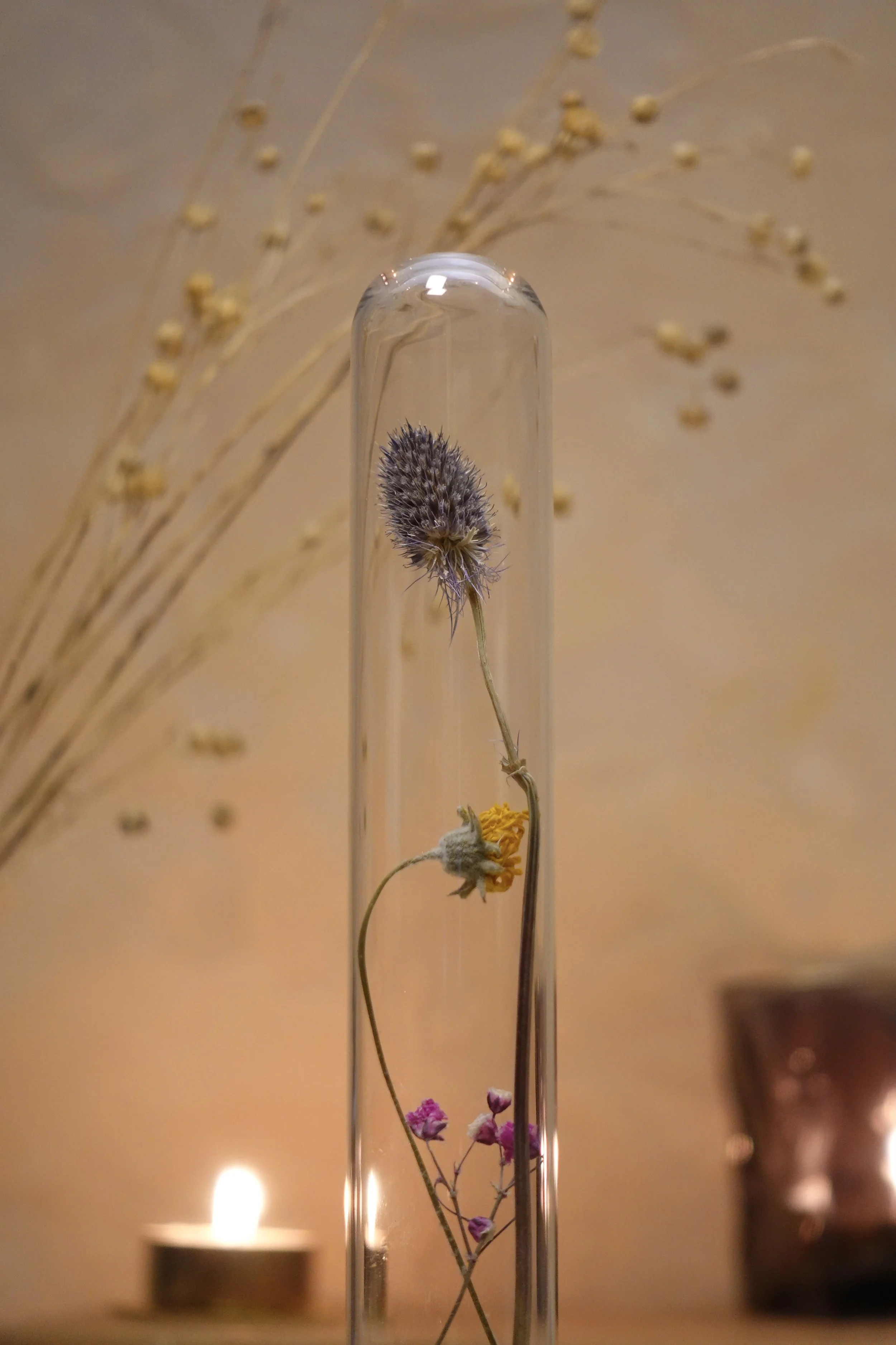 DSC00398.jpeg