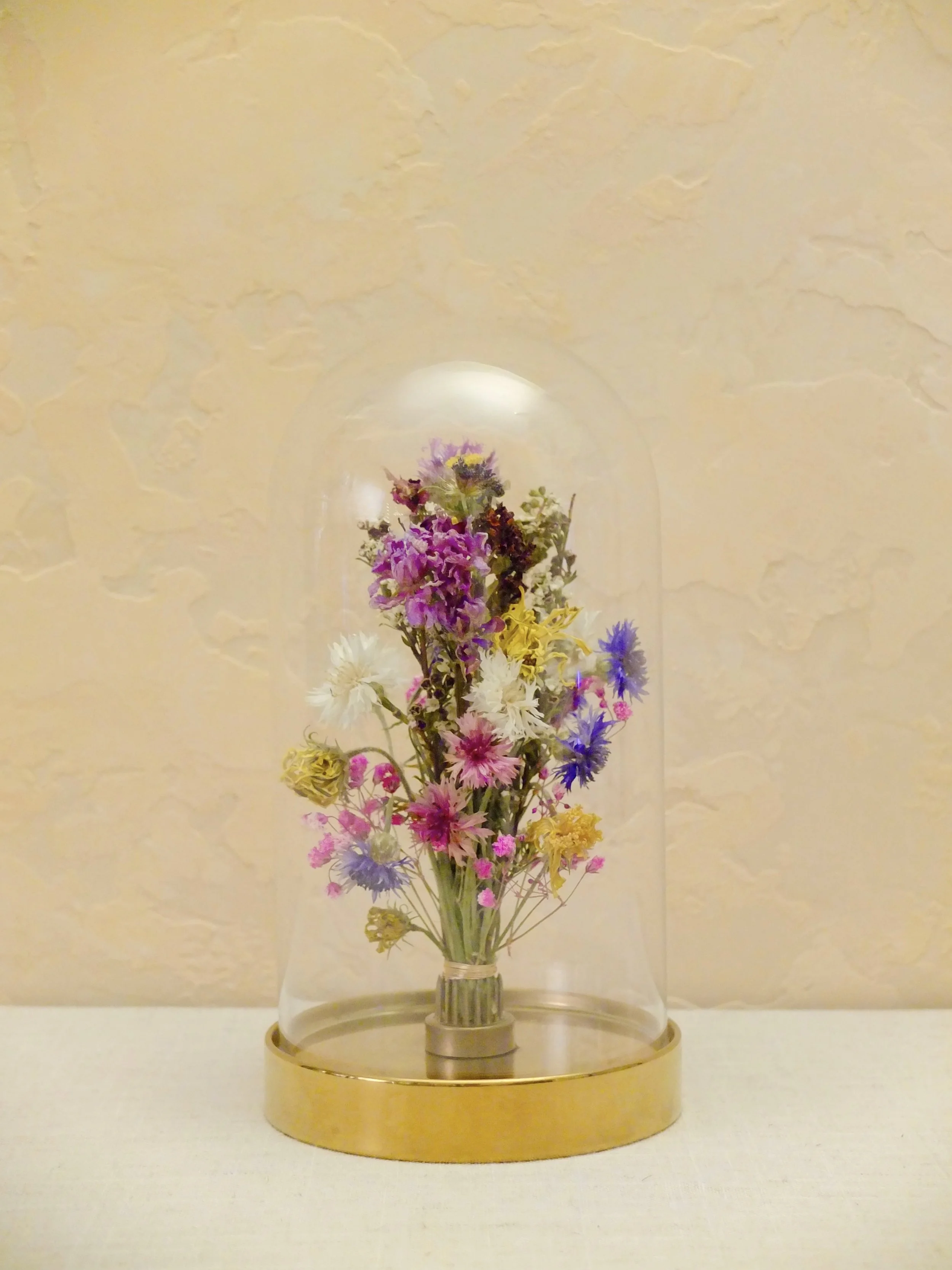 DSCF3768 - Edited.jpeg