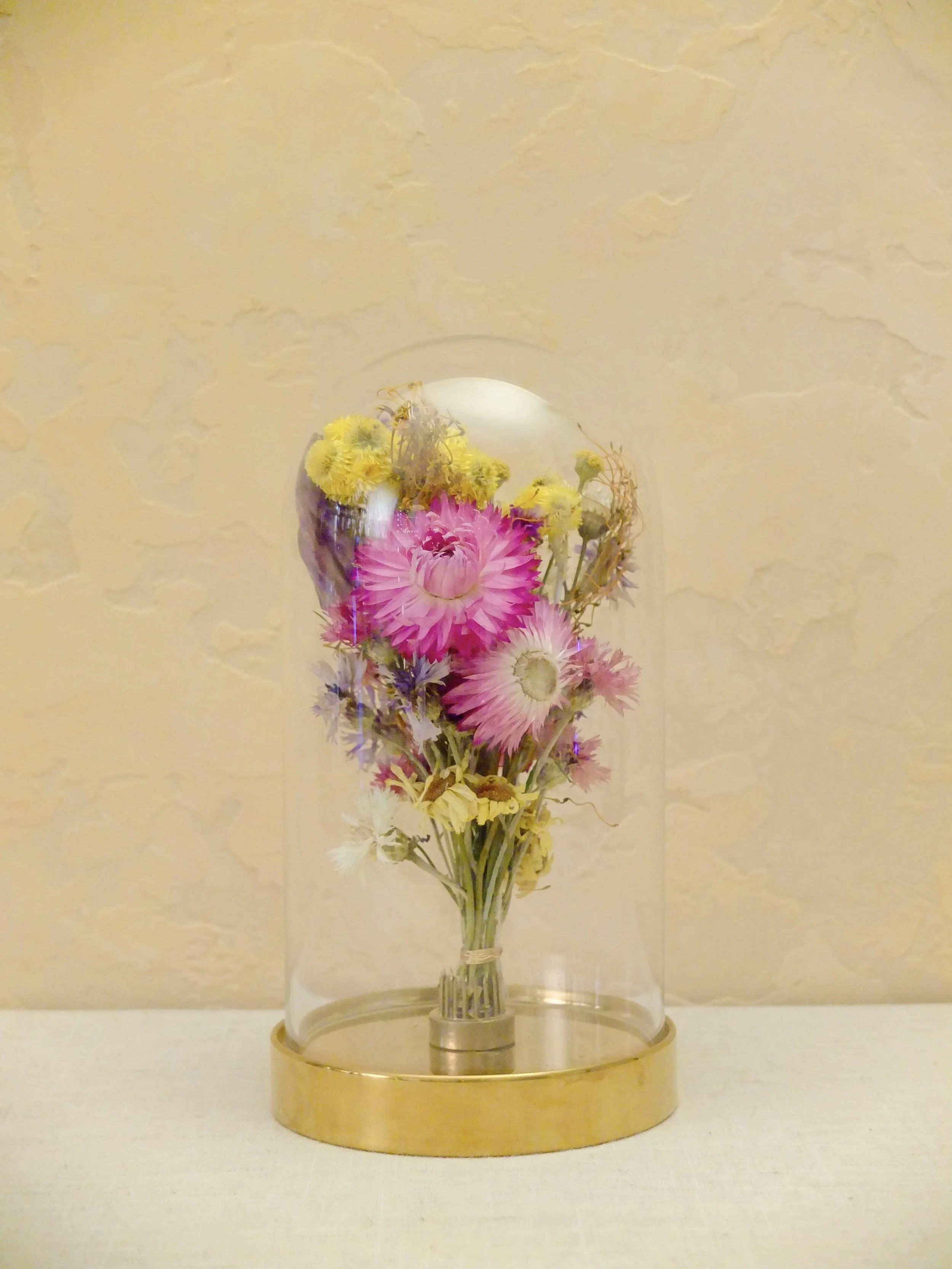 DSCF3754 - Edited.jpeg