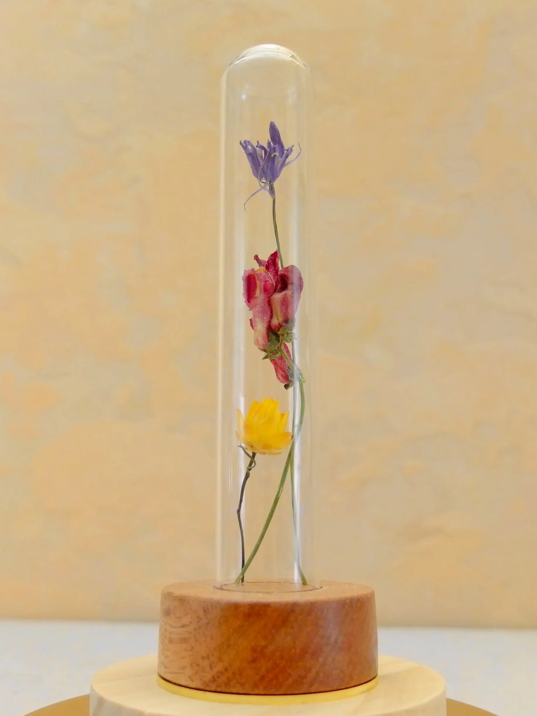 A glass tube contains dried flowers arranged vertically, supported by a wooden base. A fable and twig test tube with a custom timber and brass base.