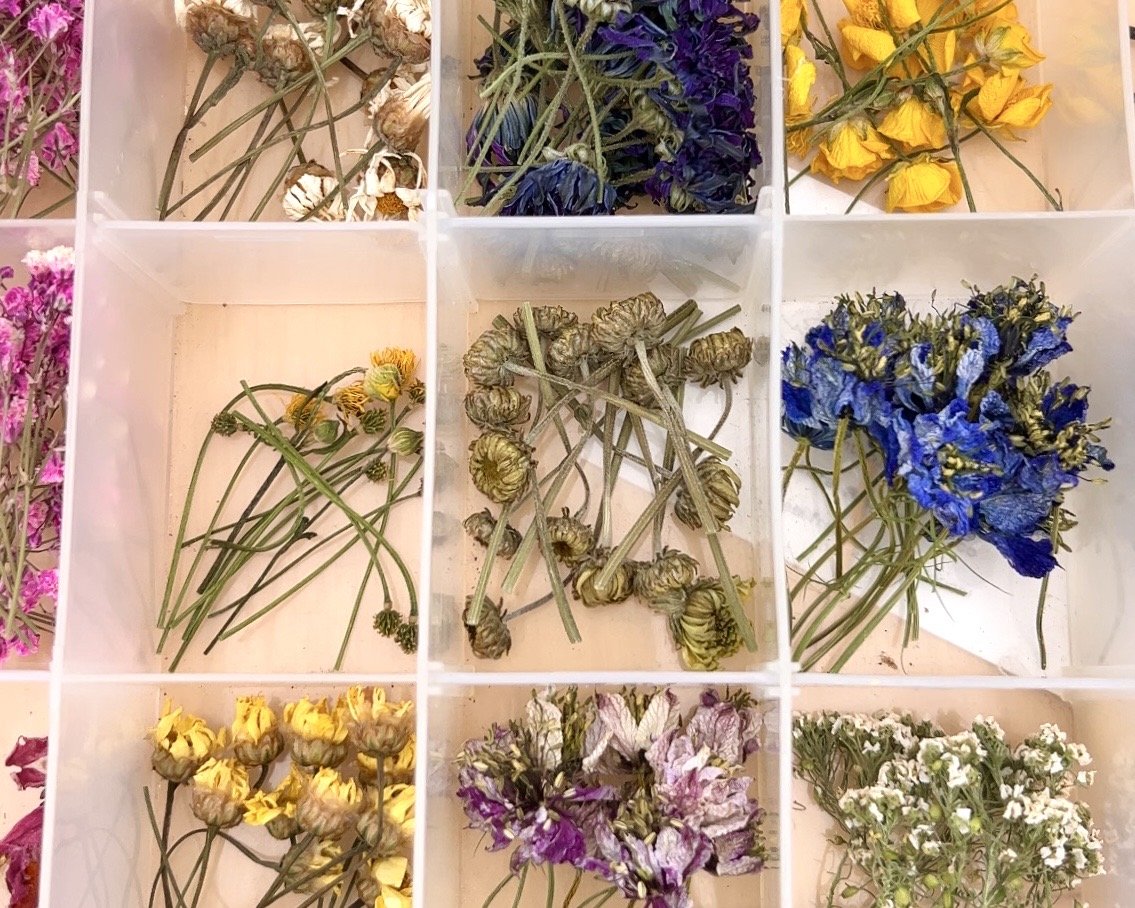 Dried and pressed flowers arranged in a grid of small compartments.