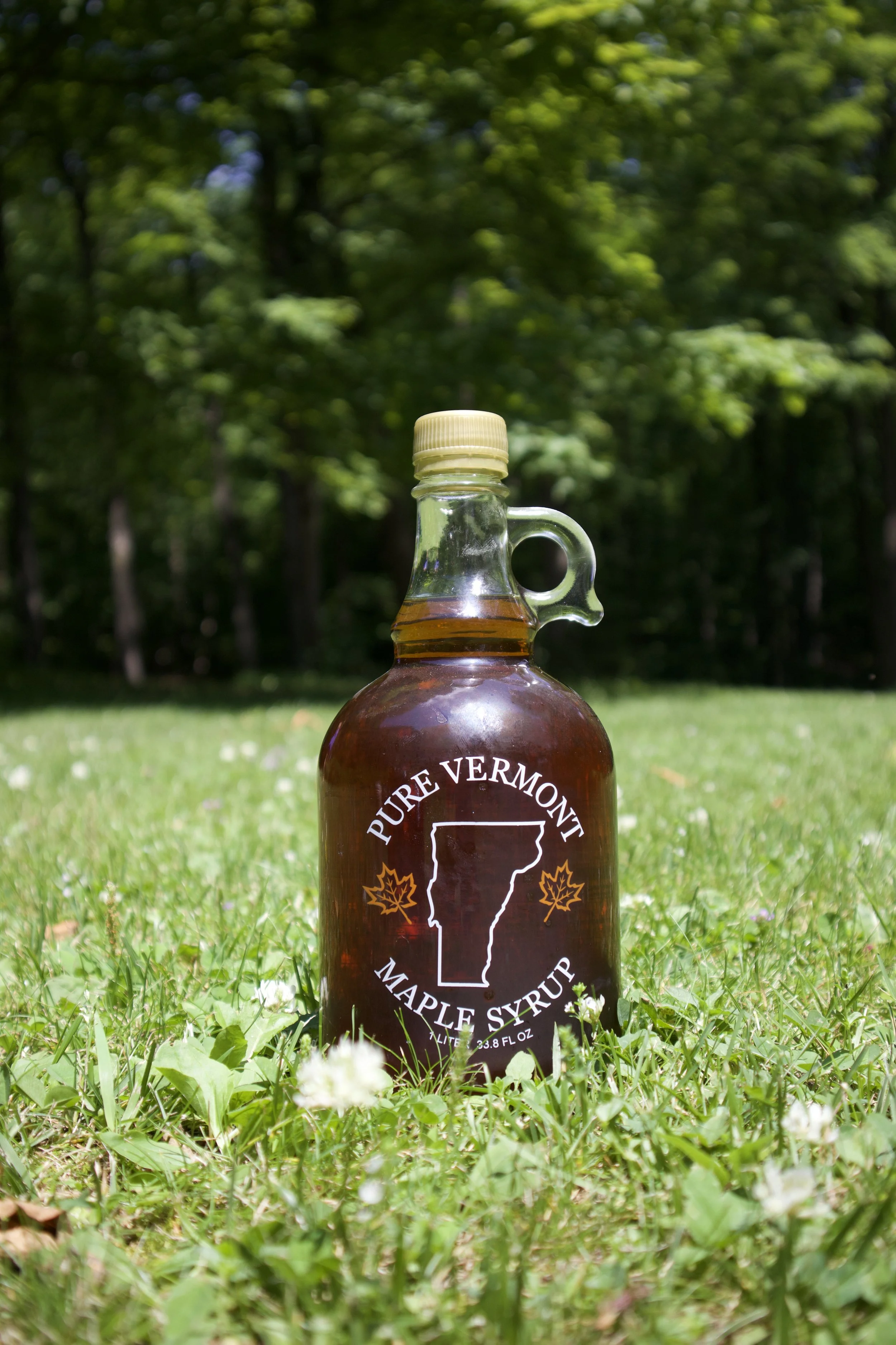 A bottle of Pure Vermont Maple Syrup with a handle, placed on green grass with small white flowers, and a background of trees and blue sky.