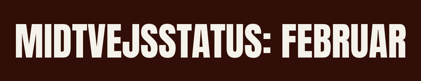 Midtvejsstatus: Februar