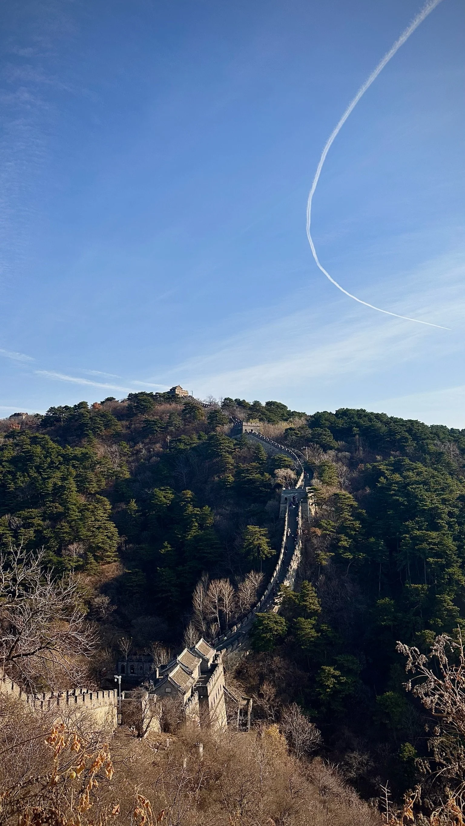 A scenic view of the Great Wall of China winding up a mountain covered with trees under a clear blue sky with contrails.