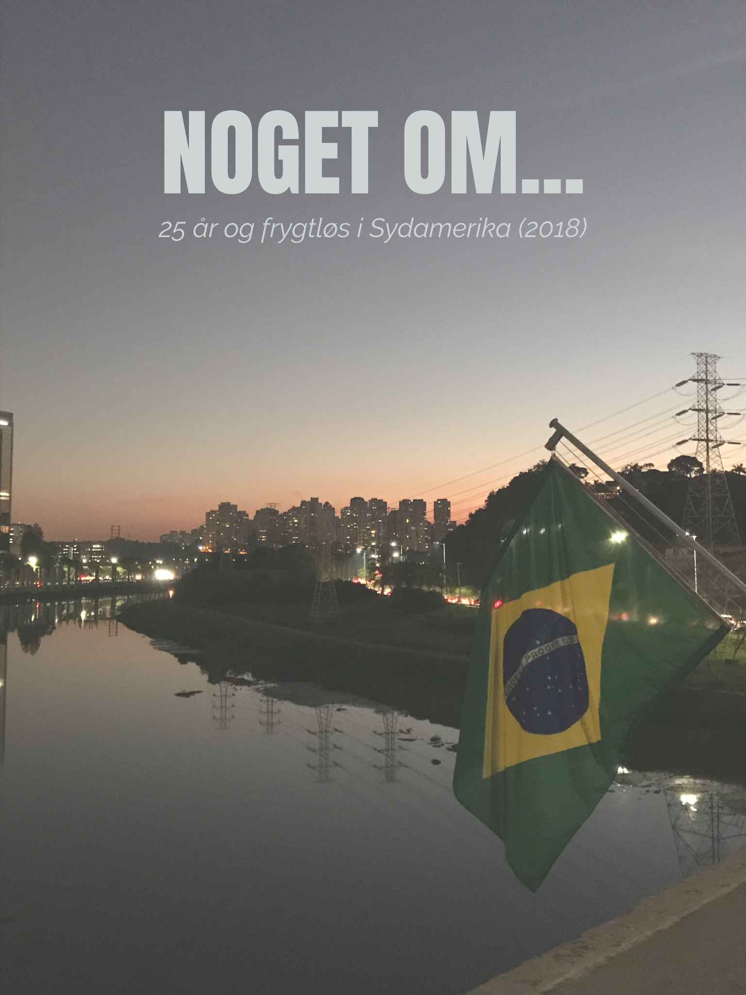 Noget Om..., Sao Paulo, Brazil, Rejseessay, Travel essay