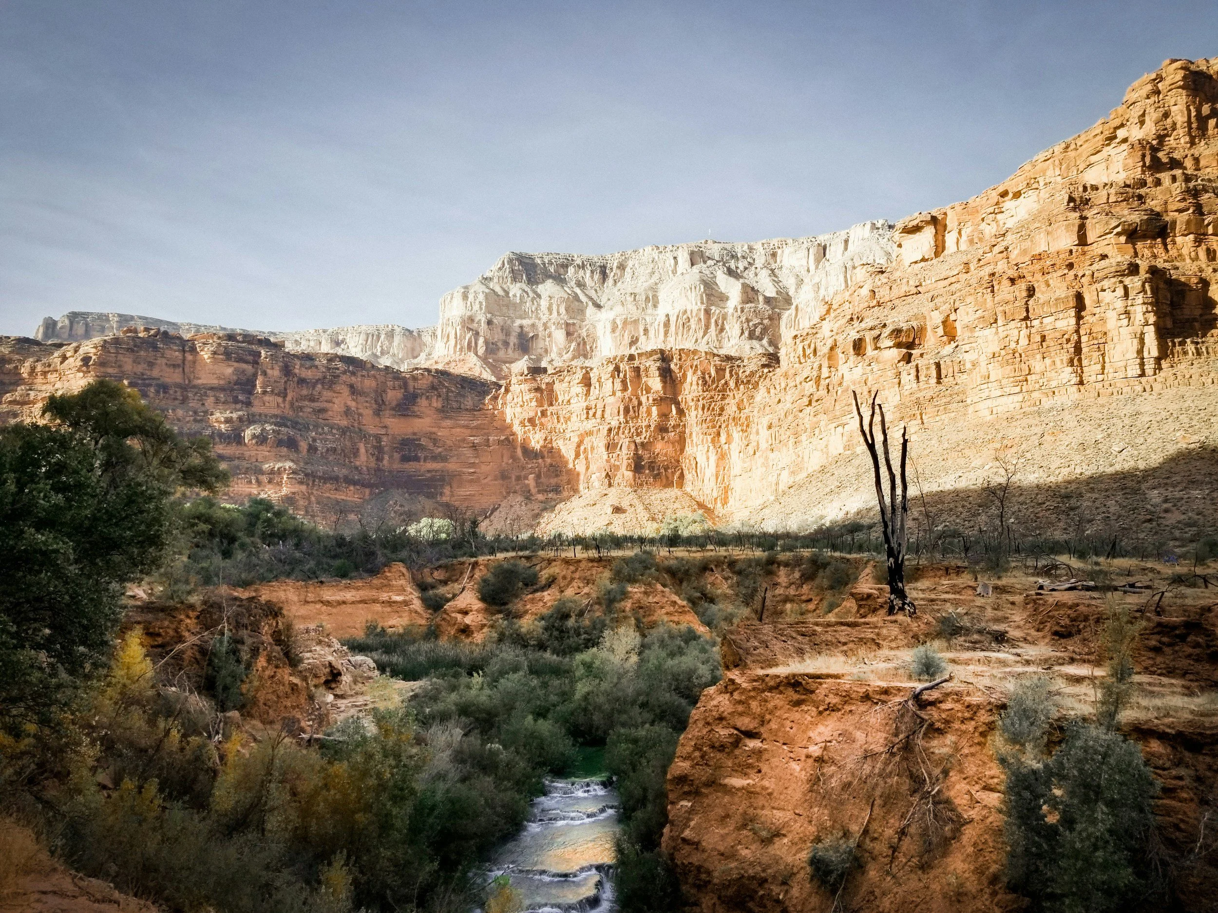 A desert landscape with tall red and white layered cliffs, sparse trees, and a small river running through the foreground.