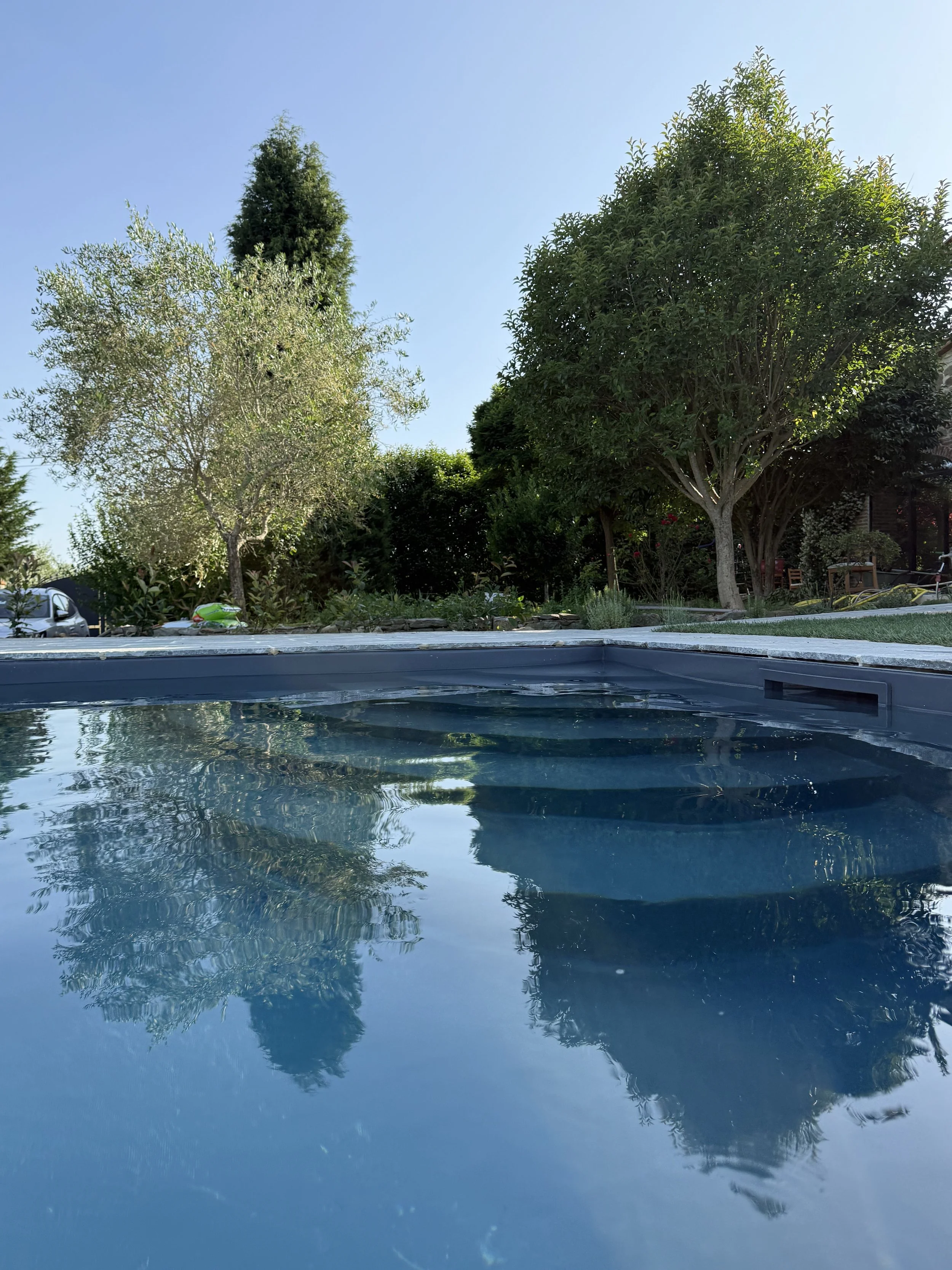 Swimming pool reflecting trees and a clear blue sky in a backyard garden.