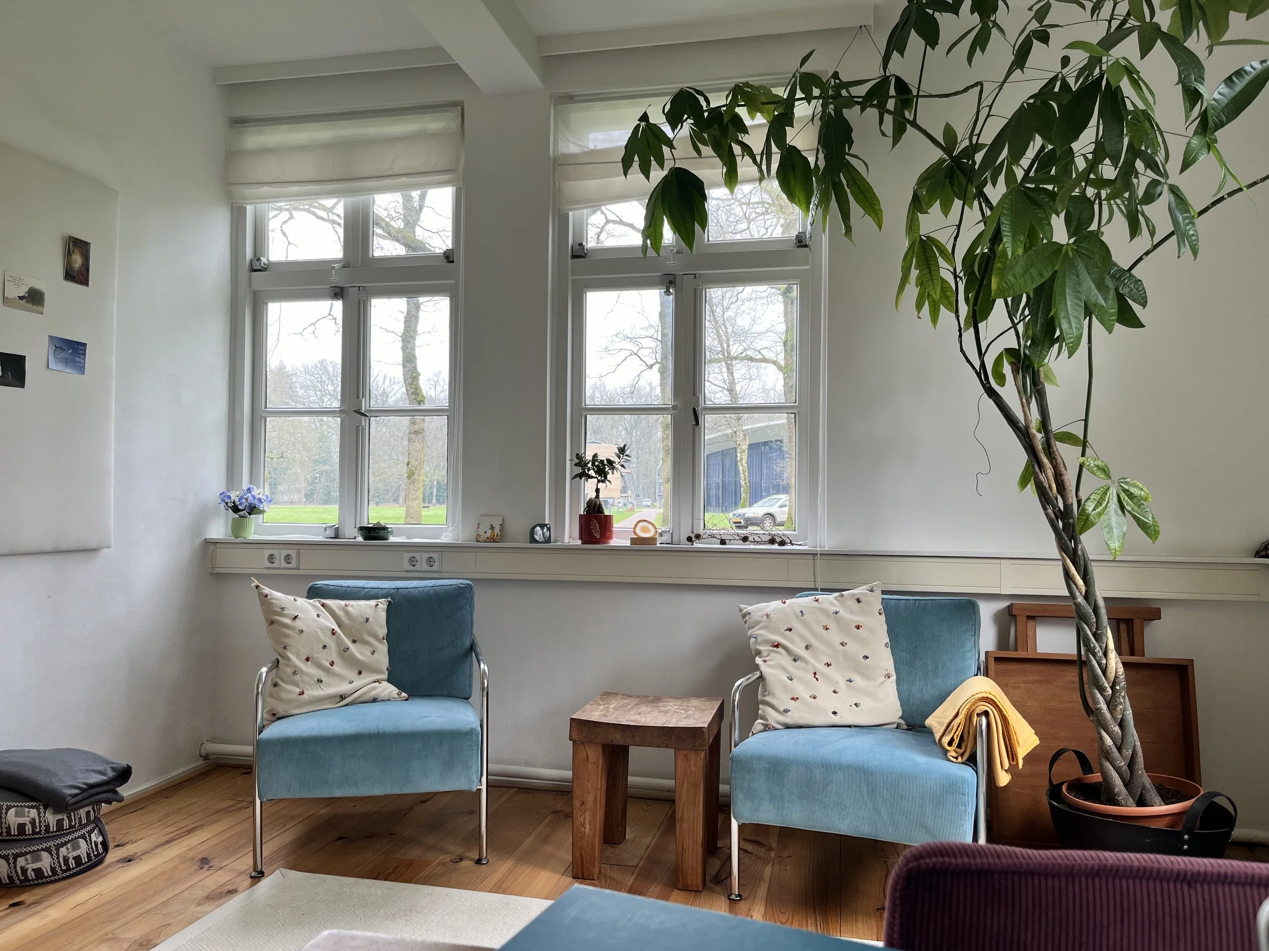woonkamer met twee blauwe armstoelen, een houten bijzettafel, grote ramen met uitzicht op een tuin, grote plant in pot, kleine decoraties op vensterbank, en een muur met enkele foto's
