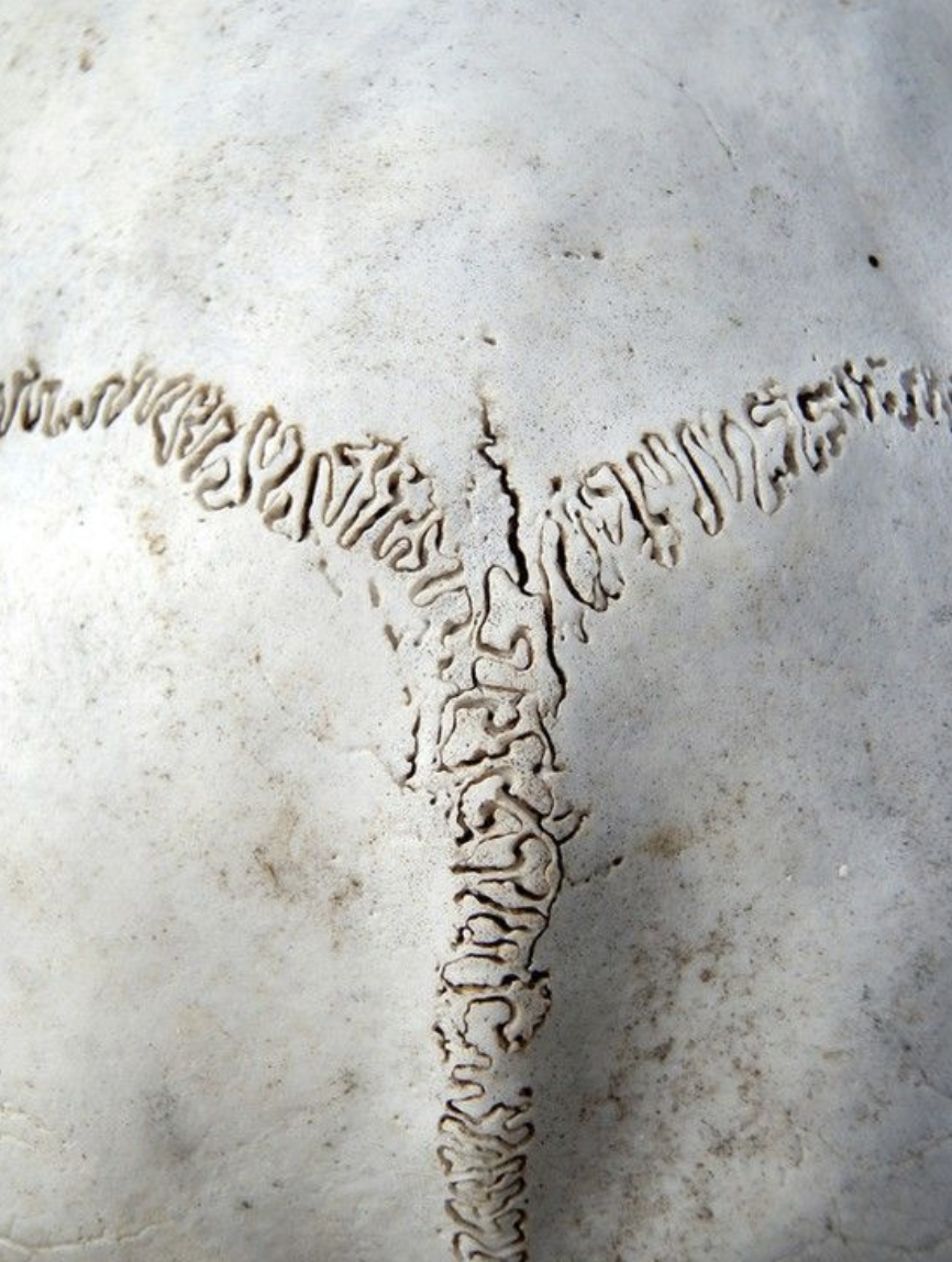 Screenshot 2024-01-28 at 19.11.45.png