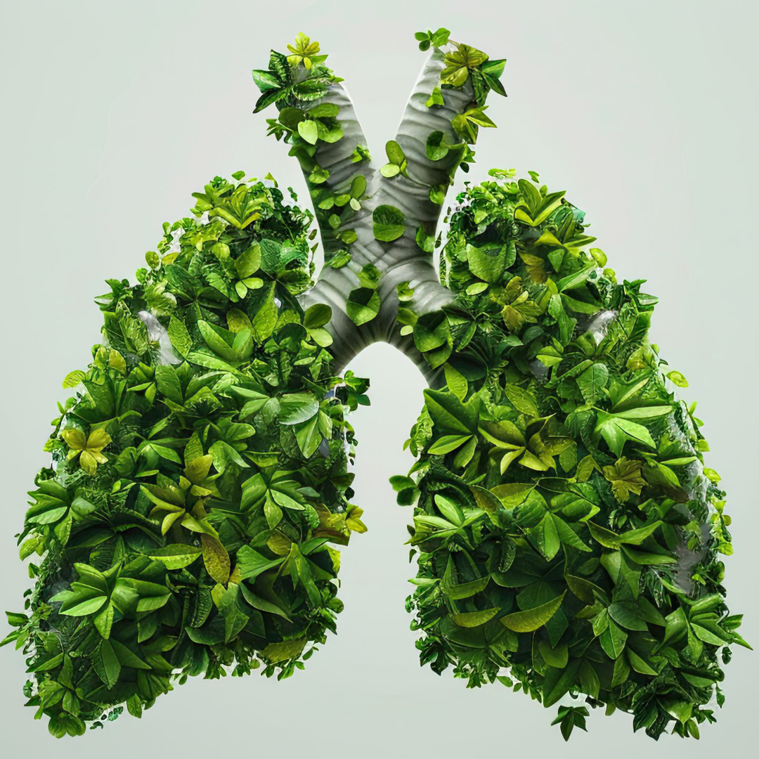 SQUARESPACE-GALLERY-IMAGES 5.png