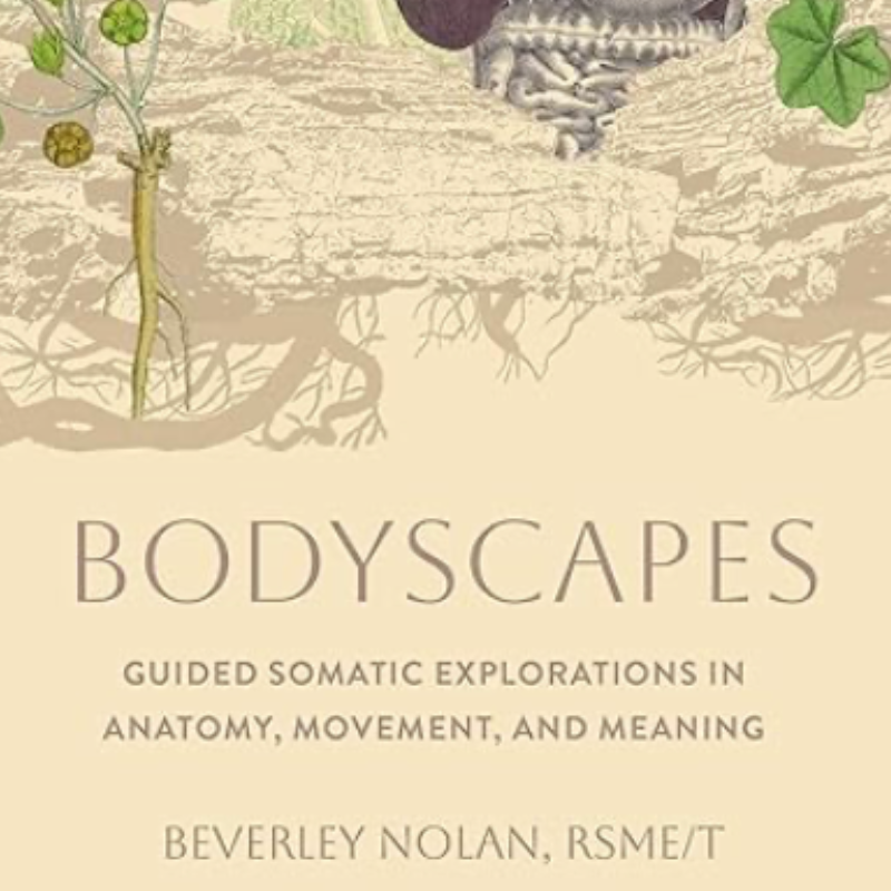bodyscapes book cover