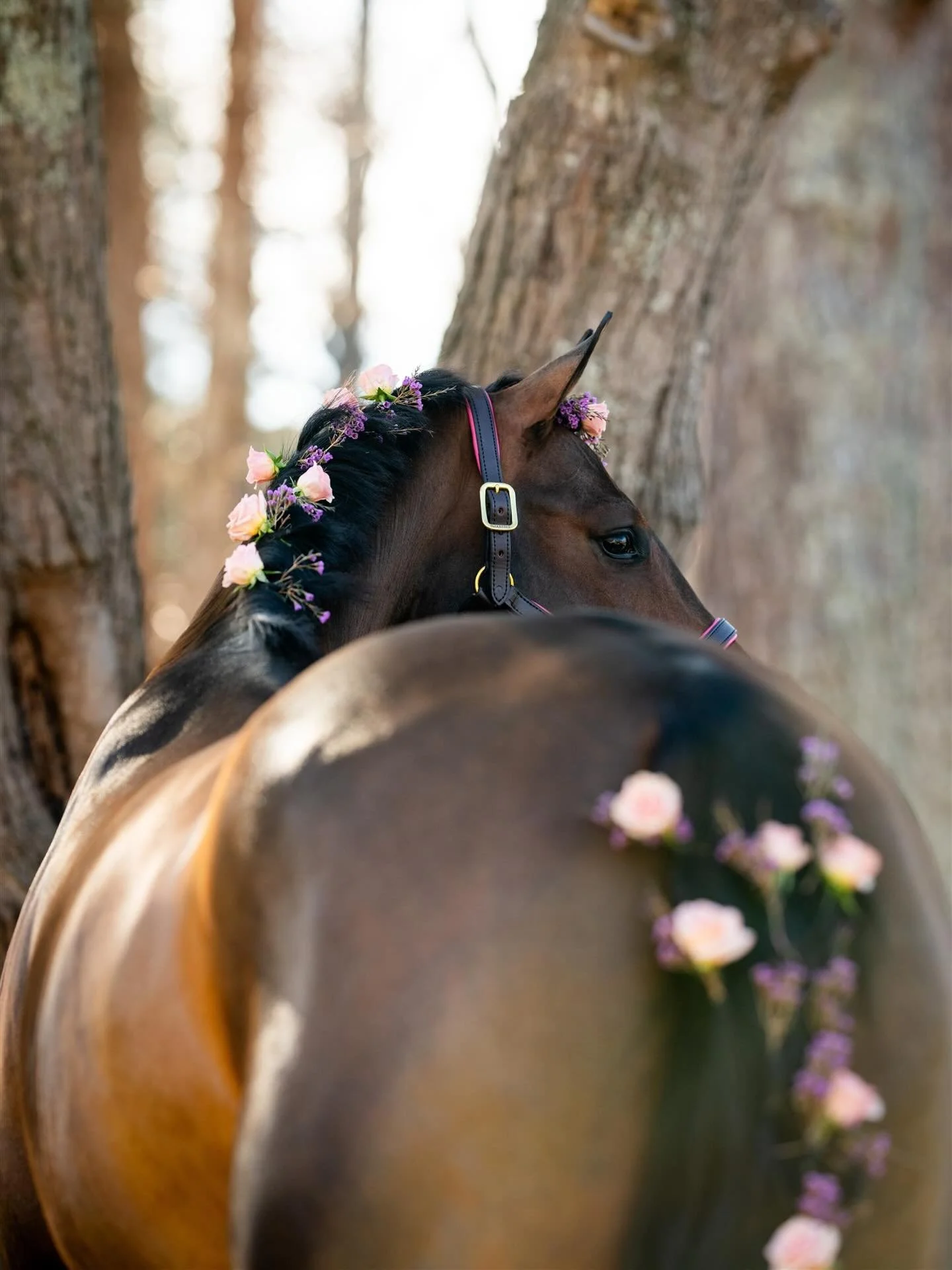 &ldquo;Keeping my heart open in hopes that I might open other hearts. These dark times rely on closed hearts. Without closed hearts, these dark times cannot continue.&rdquo;
Heard this on @myvictoriannightmare this morning and it was a good reminder 
