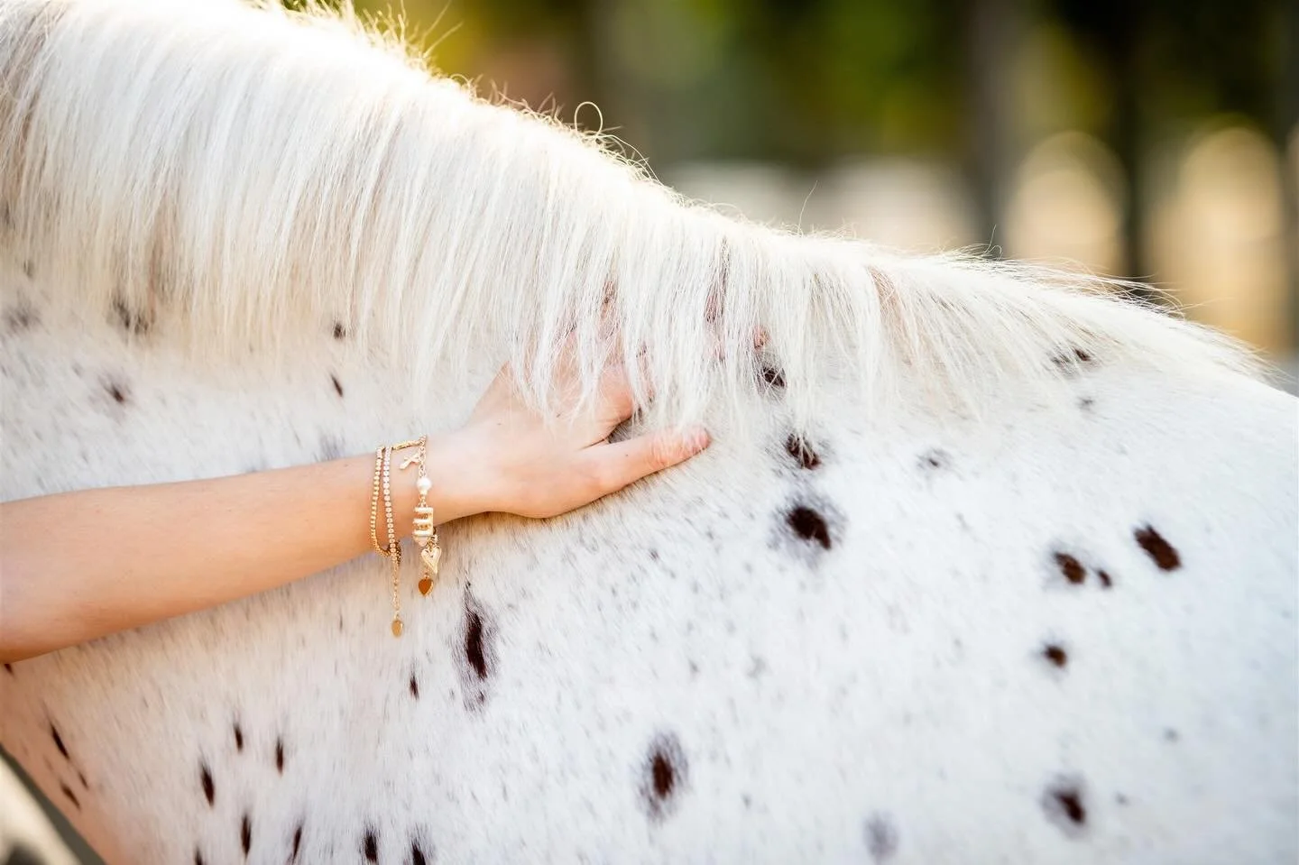Ready to capture special memories? Let&rsquo;s start planning your session! Now booking for April and May.