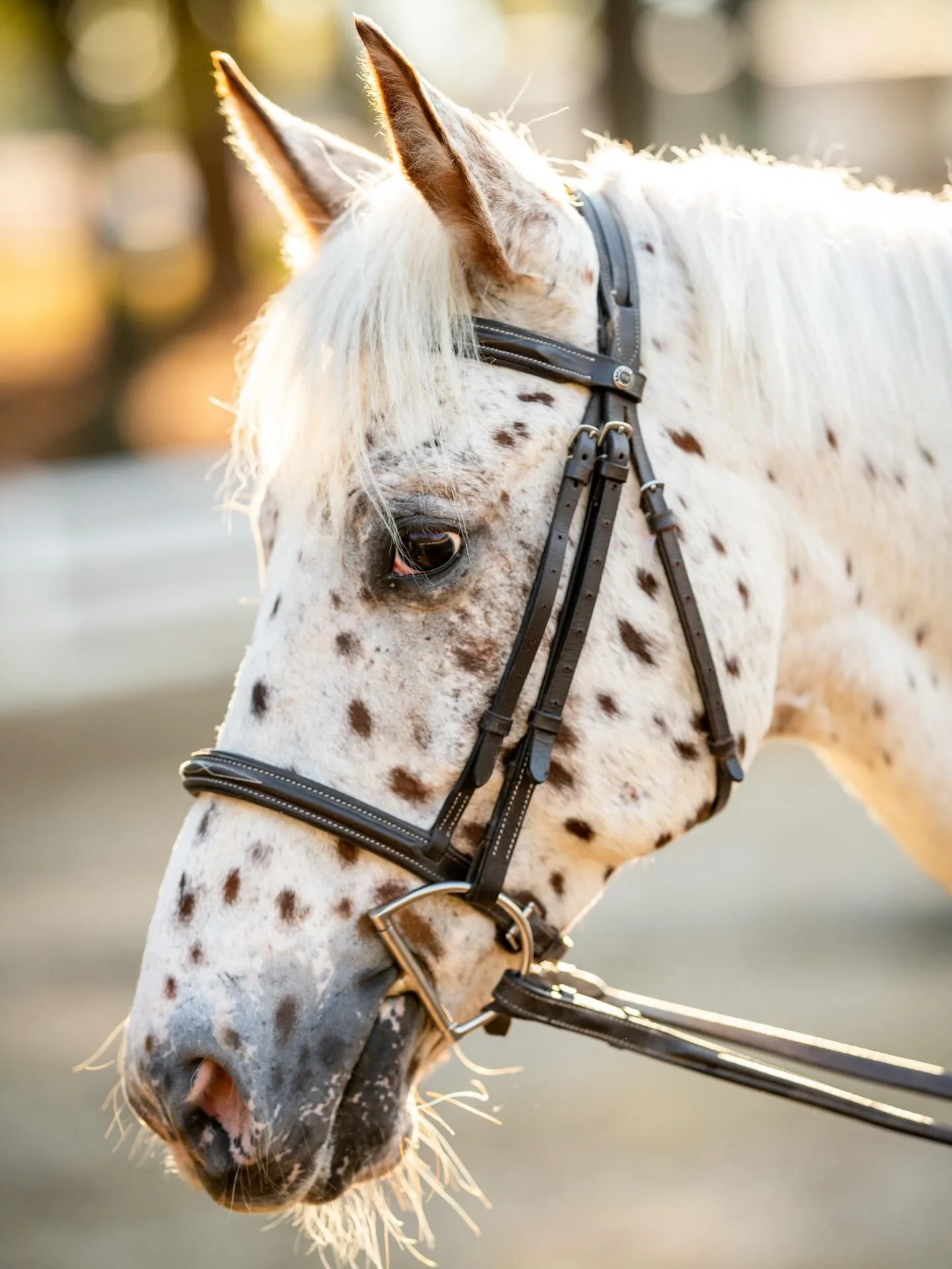 The most kissable face!
