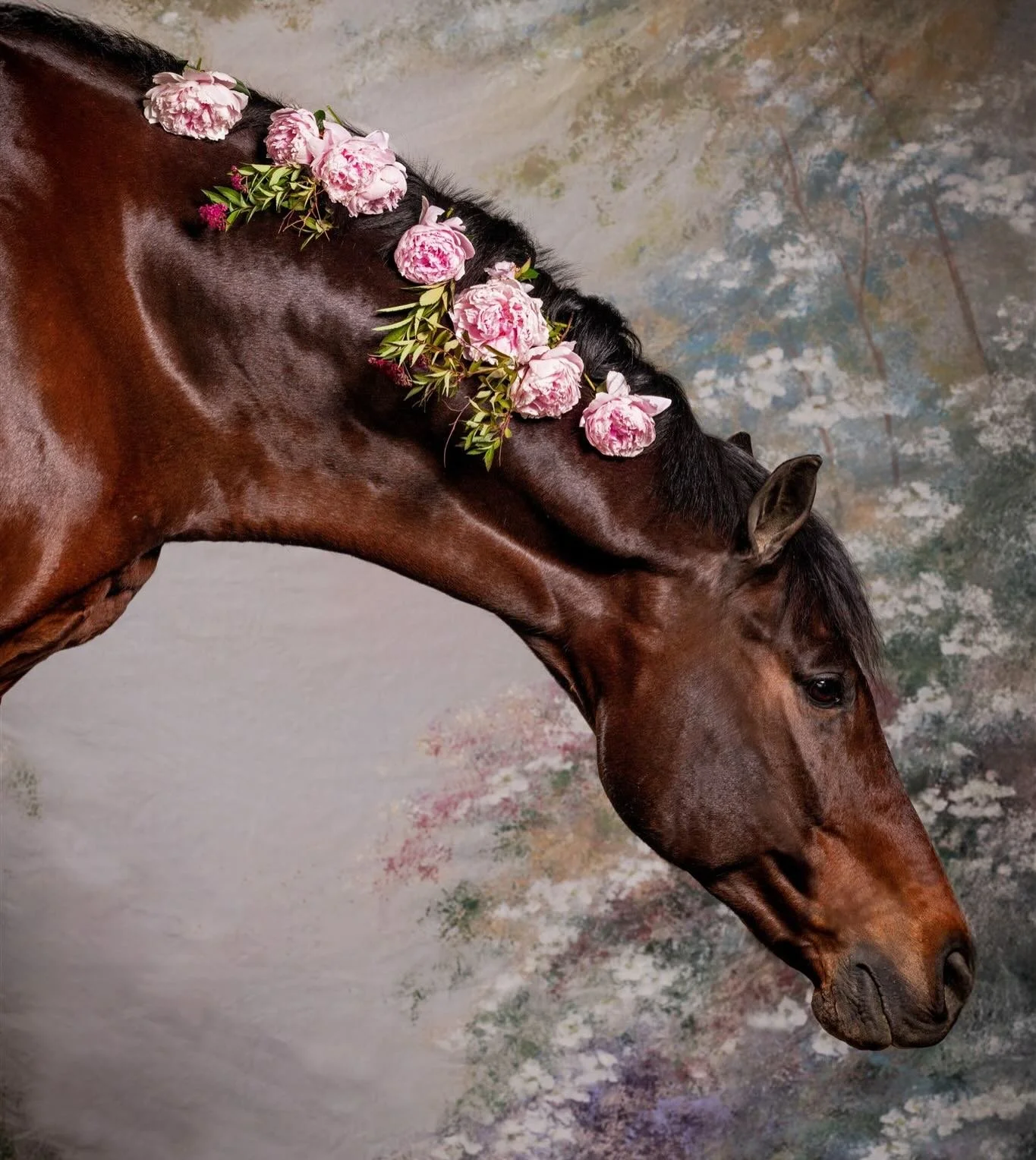 When life gives you peonies. 
The sweetest, most perfect boy, Quatro.