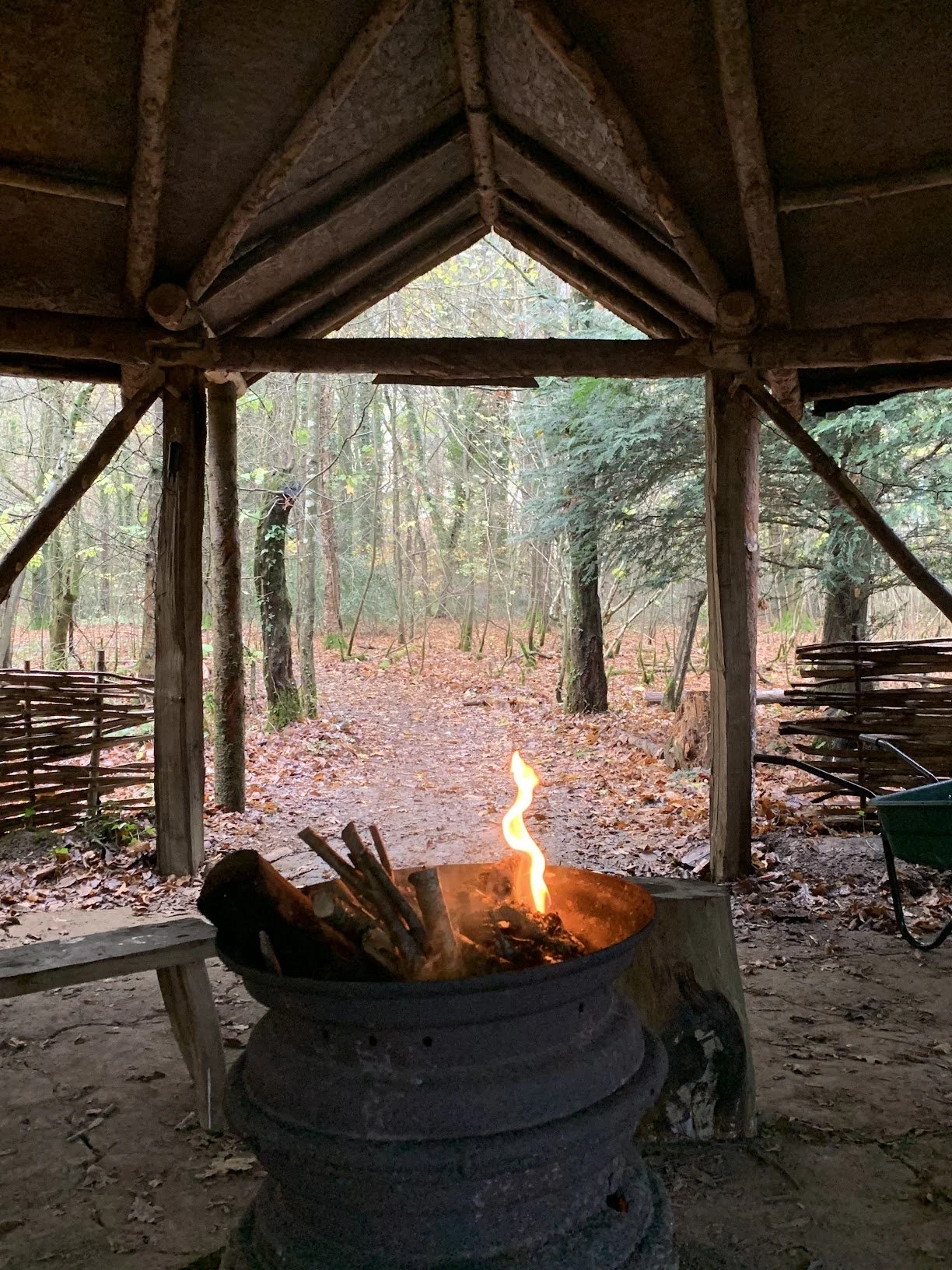 Words in the Woods with Caroline Hiking