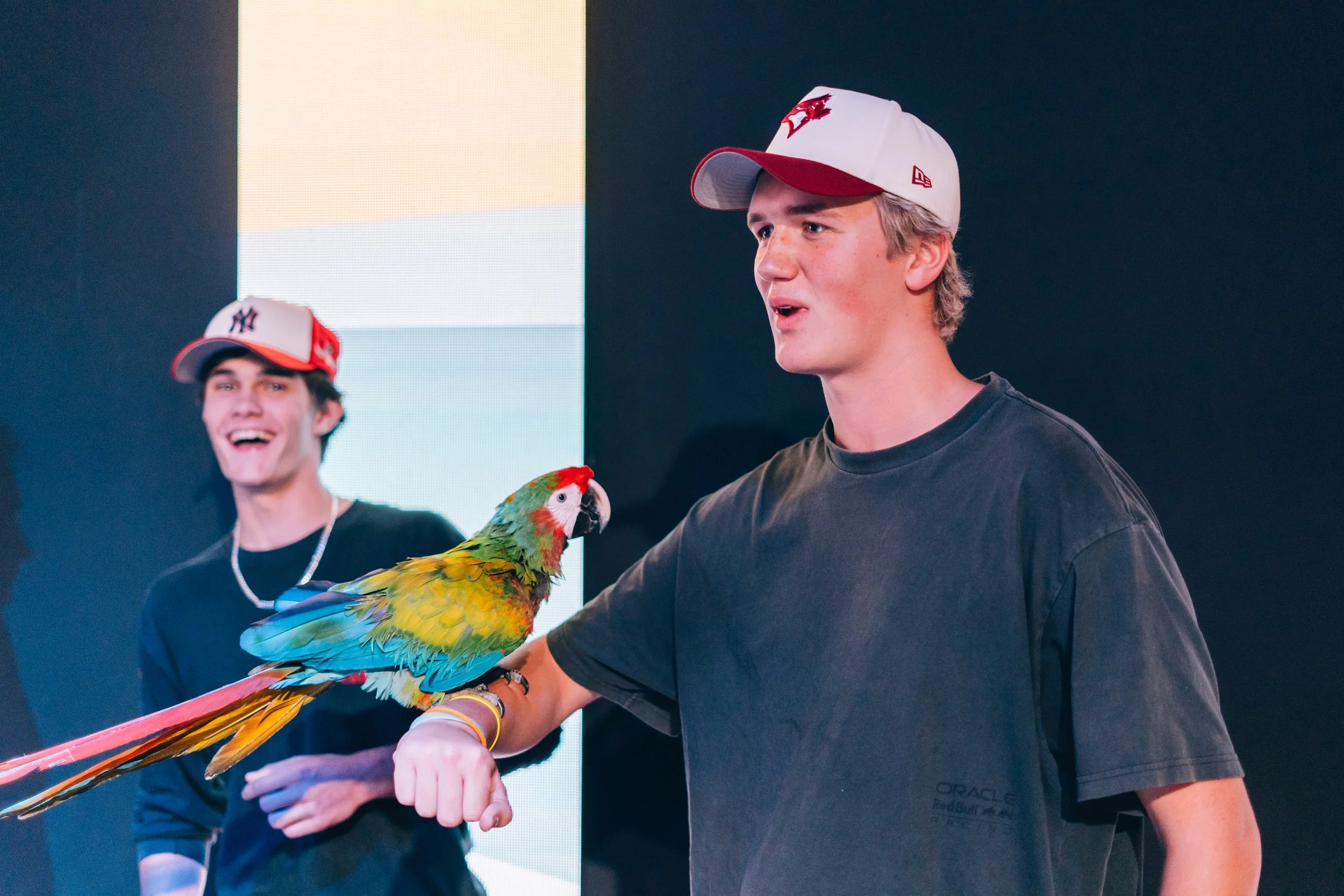 Two young men, both wearing baseball caps, with a colorful parrot perched on one man's arm. The man with the parrot has a light-colored cap and a dark T-shirt, while the other is in the background with a black shirt and a red and white cap, smiling.