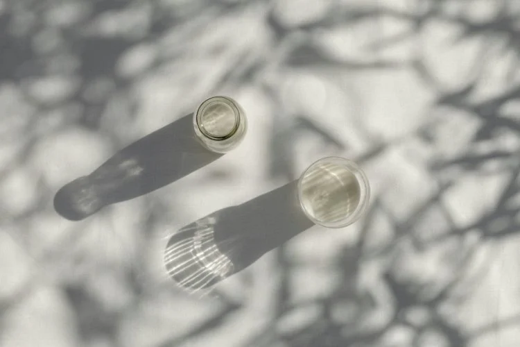 Two empty glass cups casting shadows and reflections on a white surface with blurred tree branches in the background.