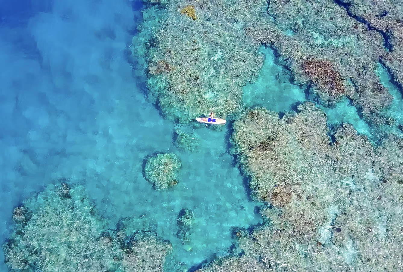 Screenshot 2025-06-19 at 11.30.16.png