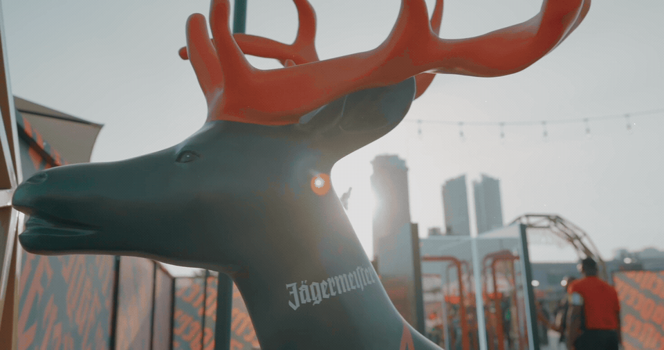 jagersole_960_25fps_dithered.gif