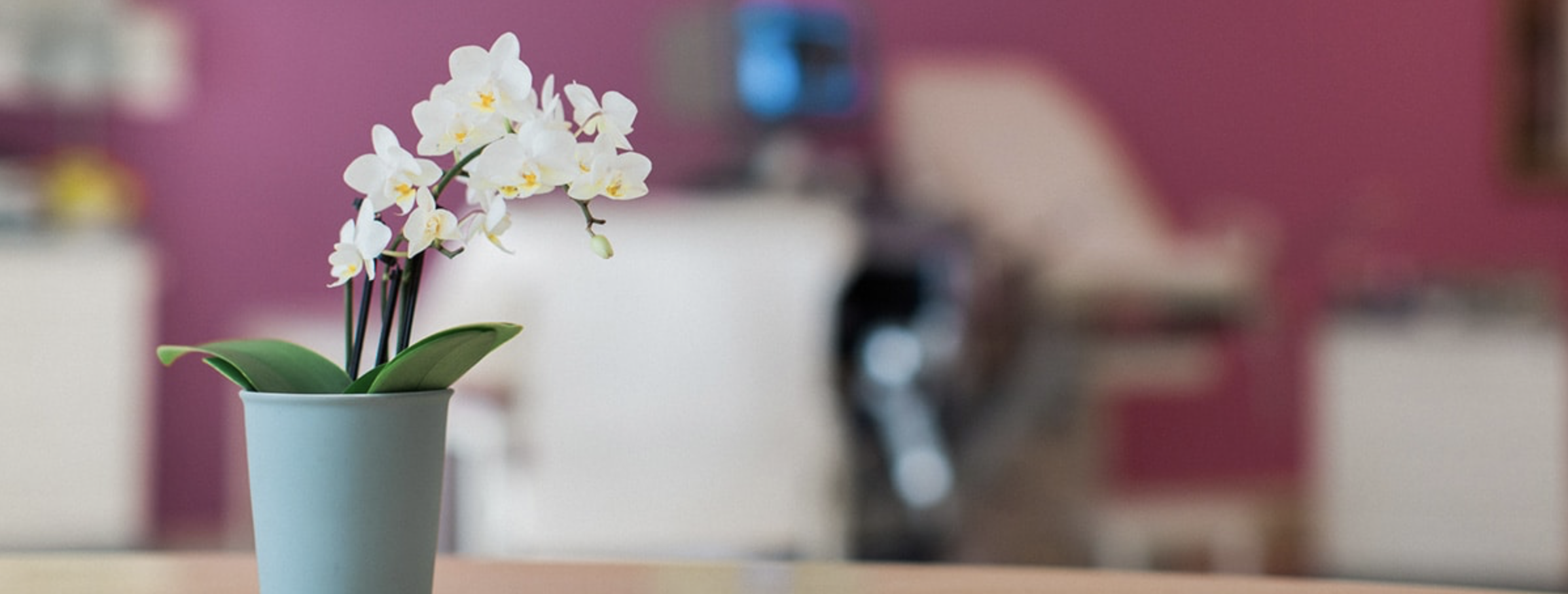 Weiße Orchideen in einer hellblauen Vase auf einem Tisch, unscharfer Hintergrund mit pinken und weißen Elementen