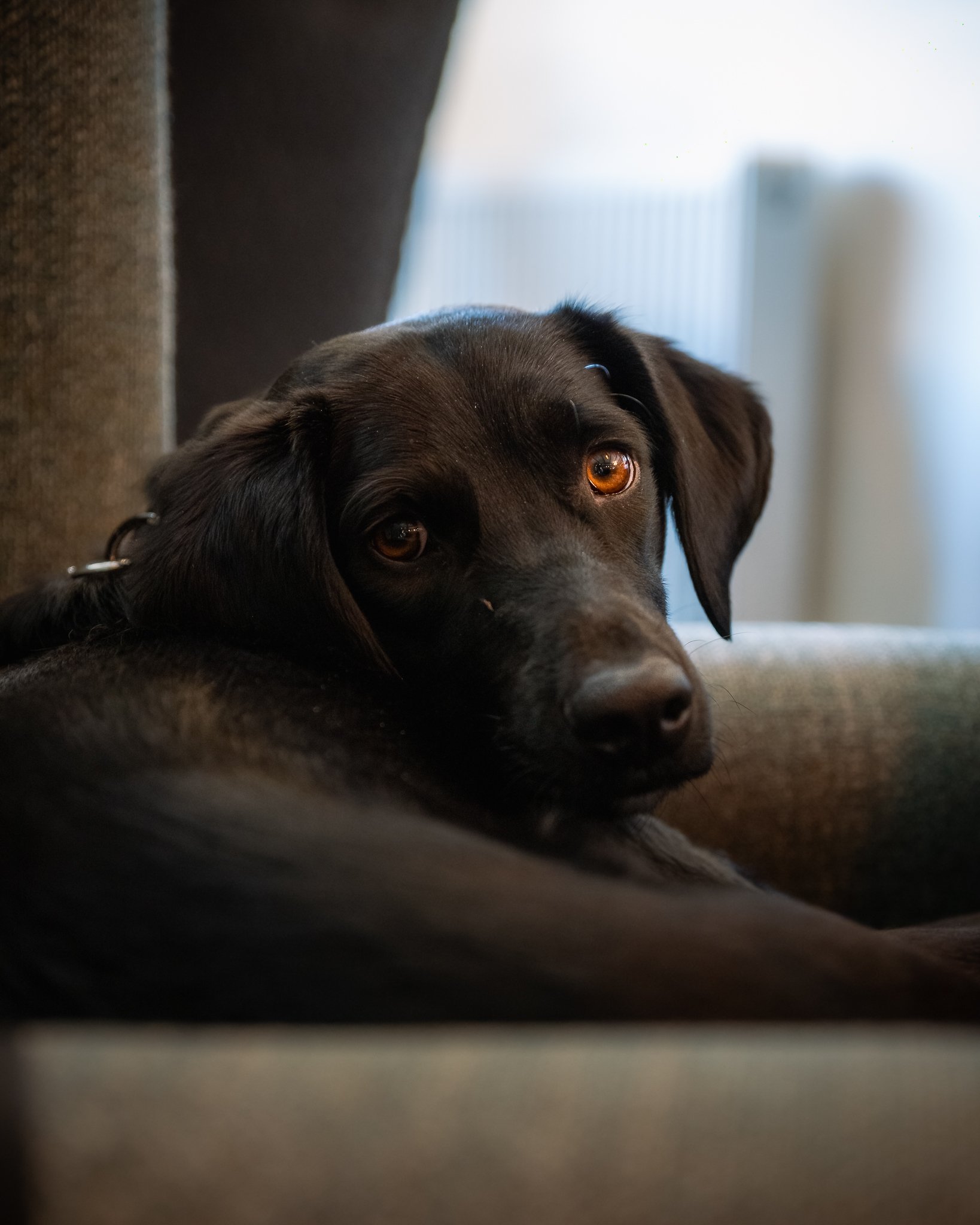_DSC1605-Edit.jpeg