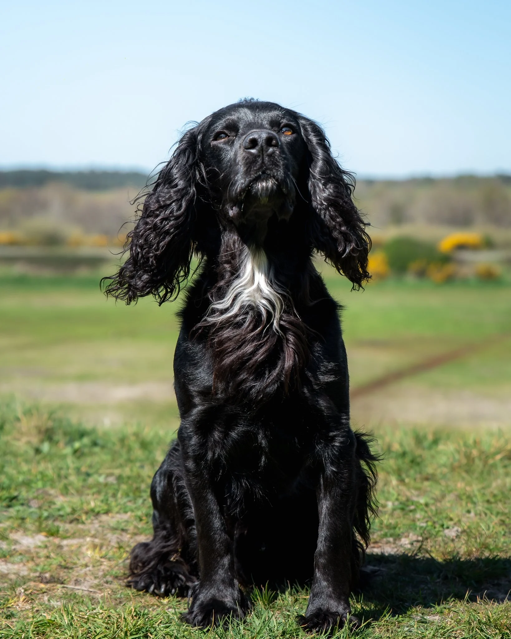 _DSC1400-Edit.jpeg