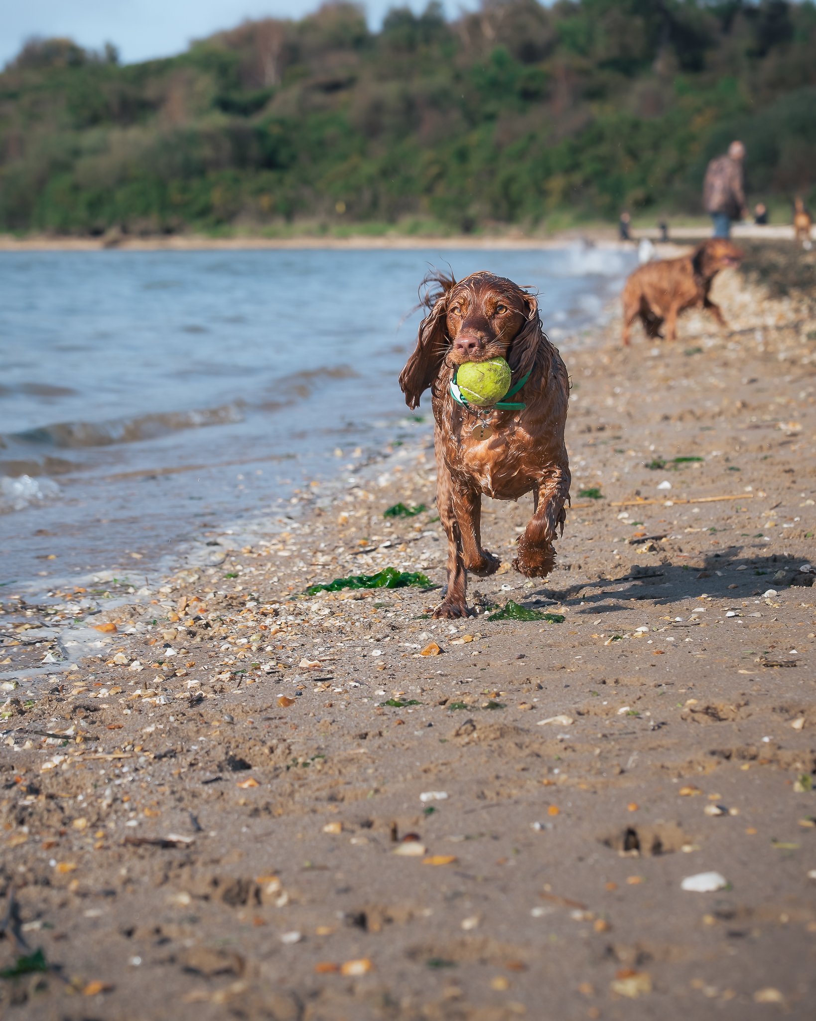_DSC9780-Edit.jpeg
