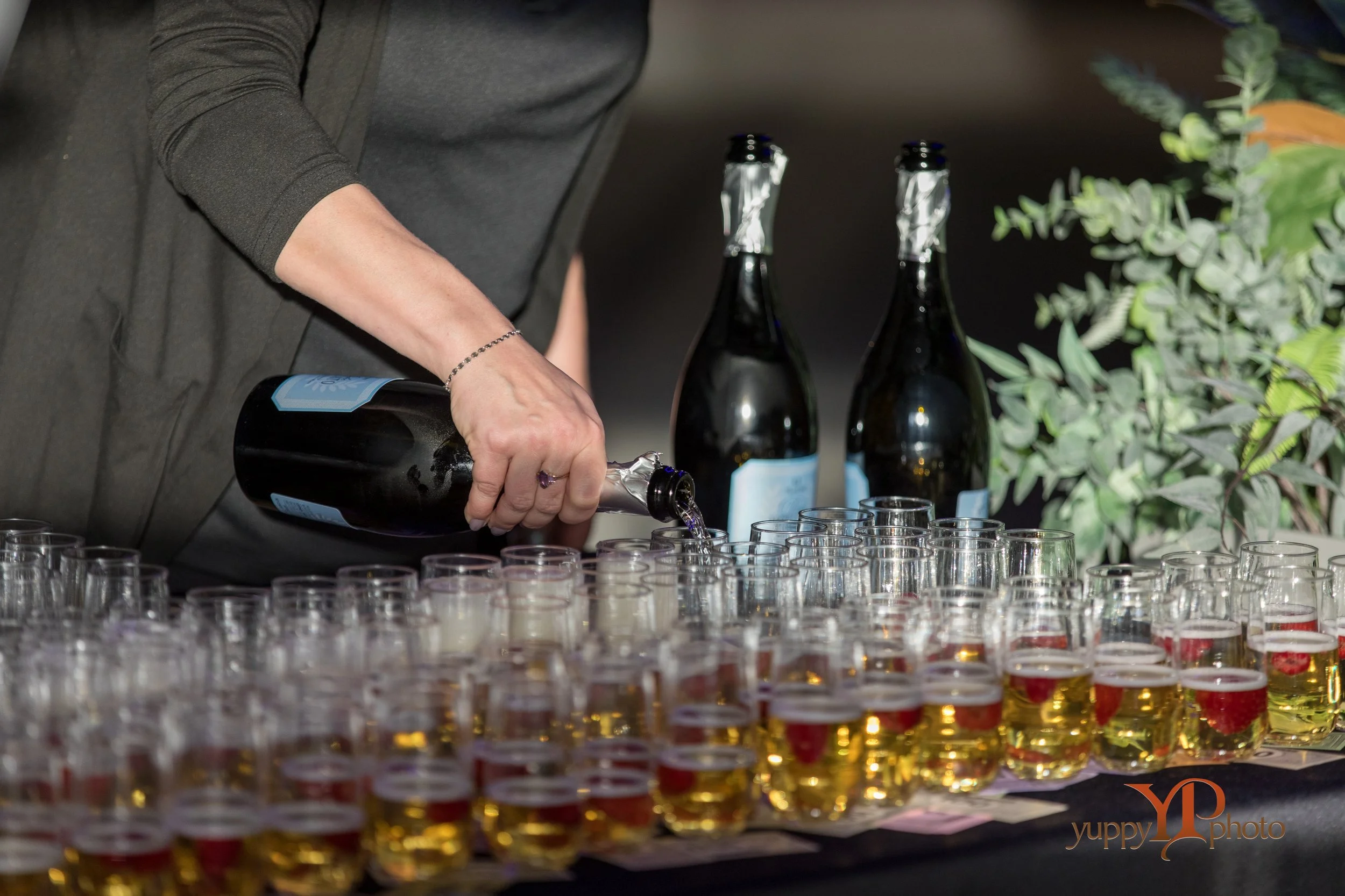 2025_0290_Great River Childrens Museum Gala_YuppyPhoto-YP6_0025.jpg