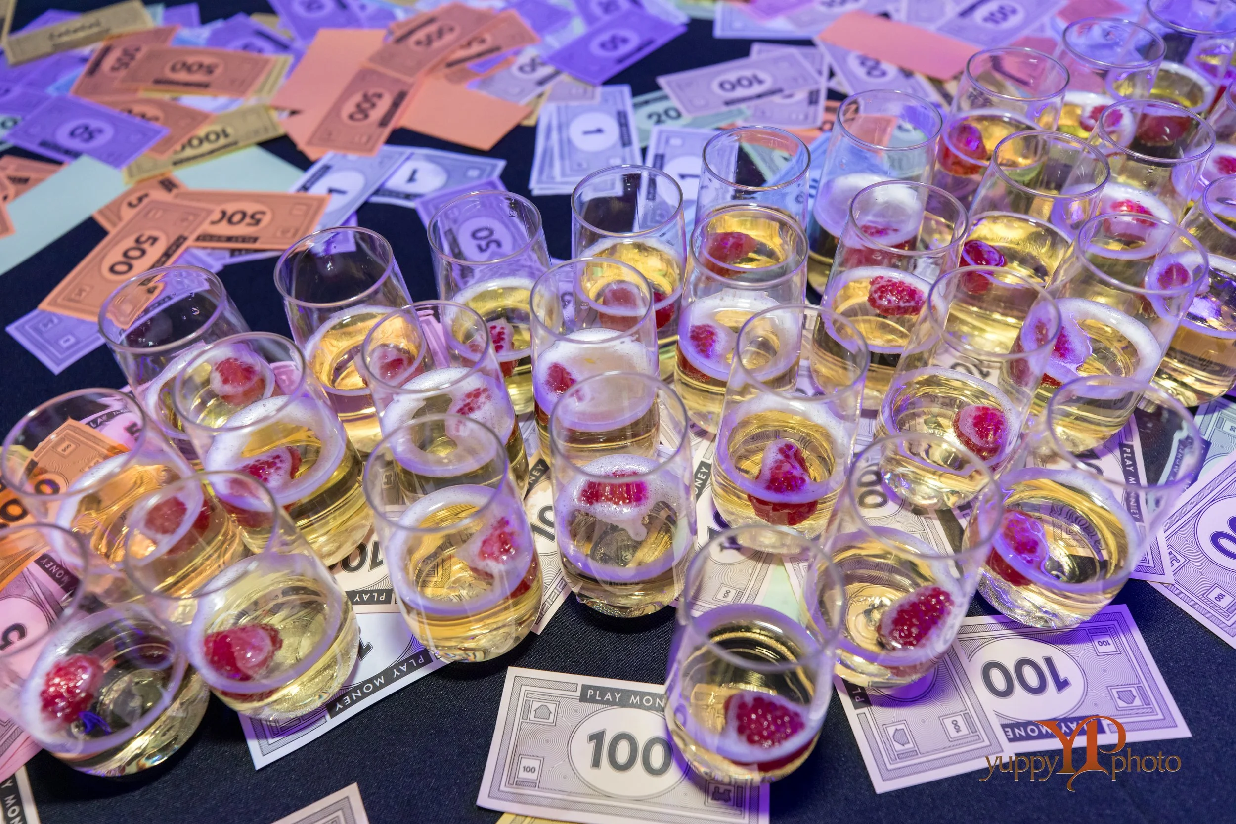 2025_0400_Great River Childrens Museum Gala_YuppyPhoto-YP4_0251.jpg