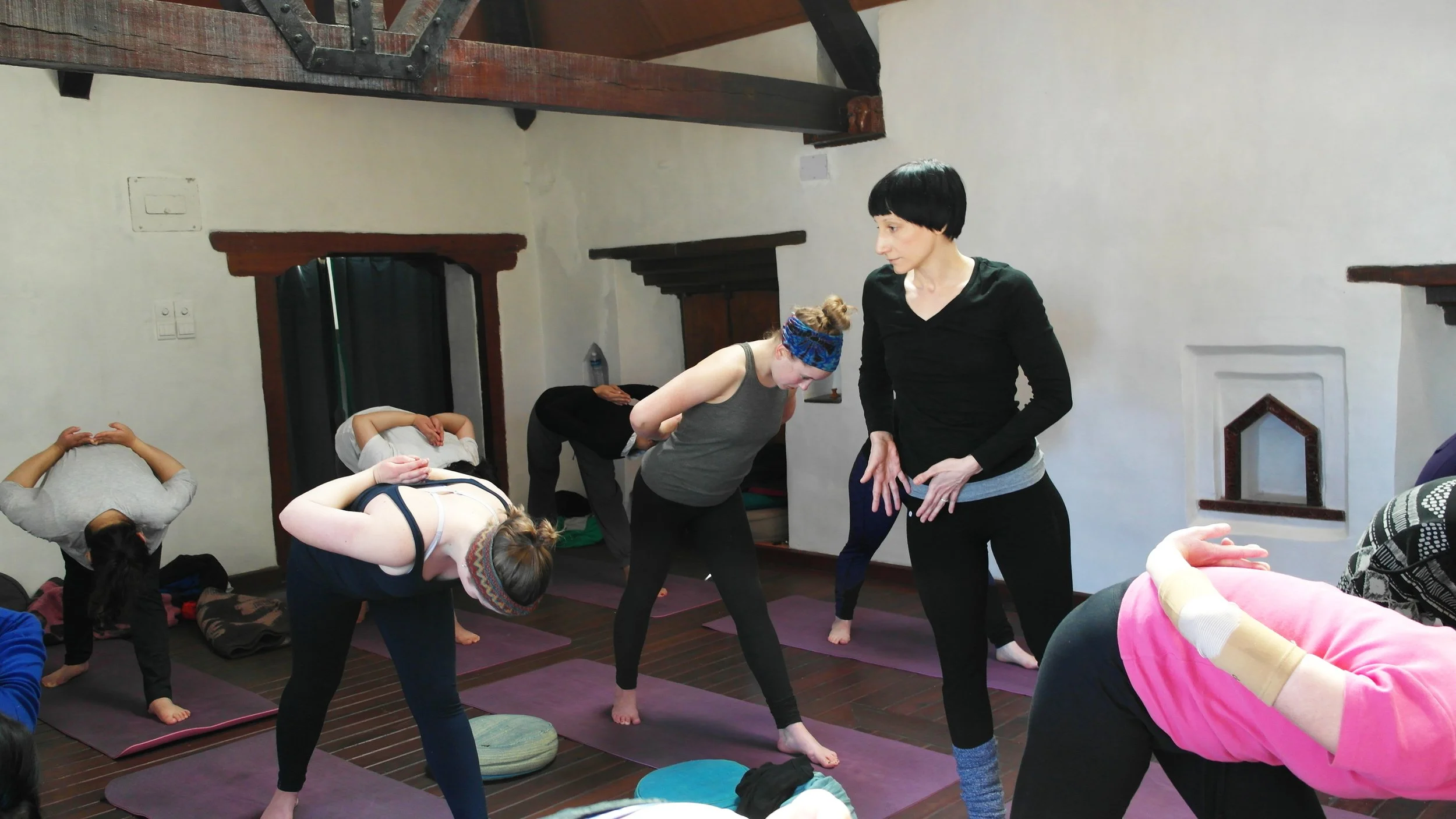 color essentials 2 teaching for pranamaya 2015.jpg
