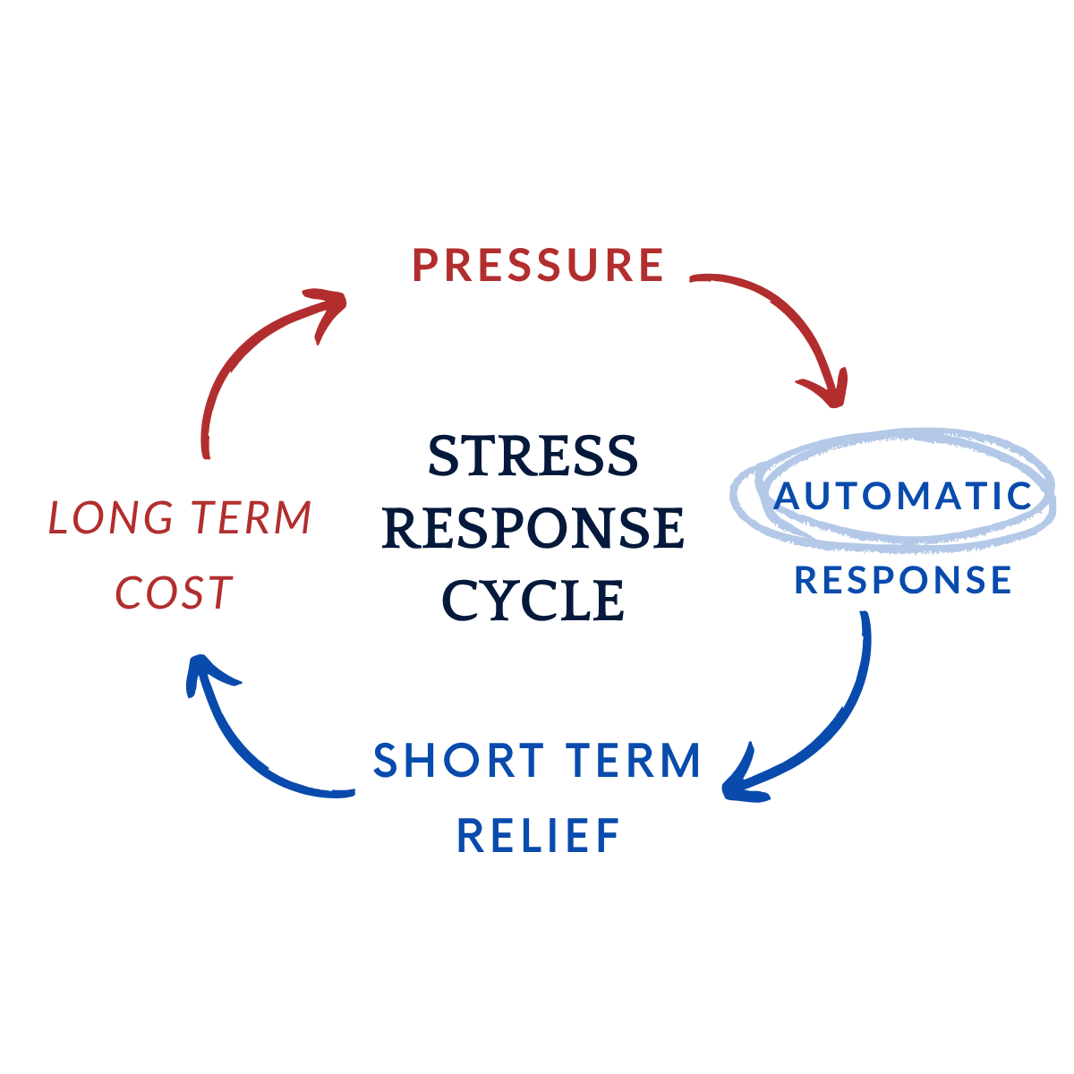Graphic of the stress response cycle that leadership coaching in Austin addresses.