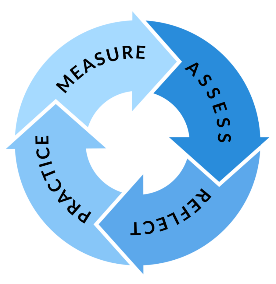 blue circle graphic depicting the executive leadership change process: measure, assess, reflect, practice