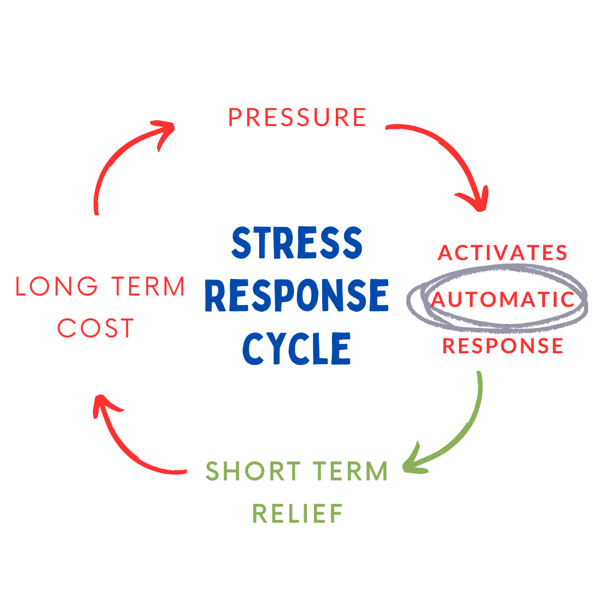 Cycle graphic in red, blue, green representing the stress response: pressure leads to activating automatic response which leads to short term relief , next comes the long term cost which starts the cycle again with more pressure