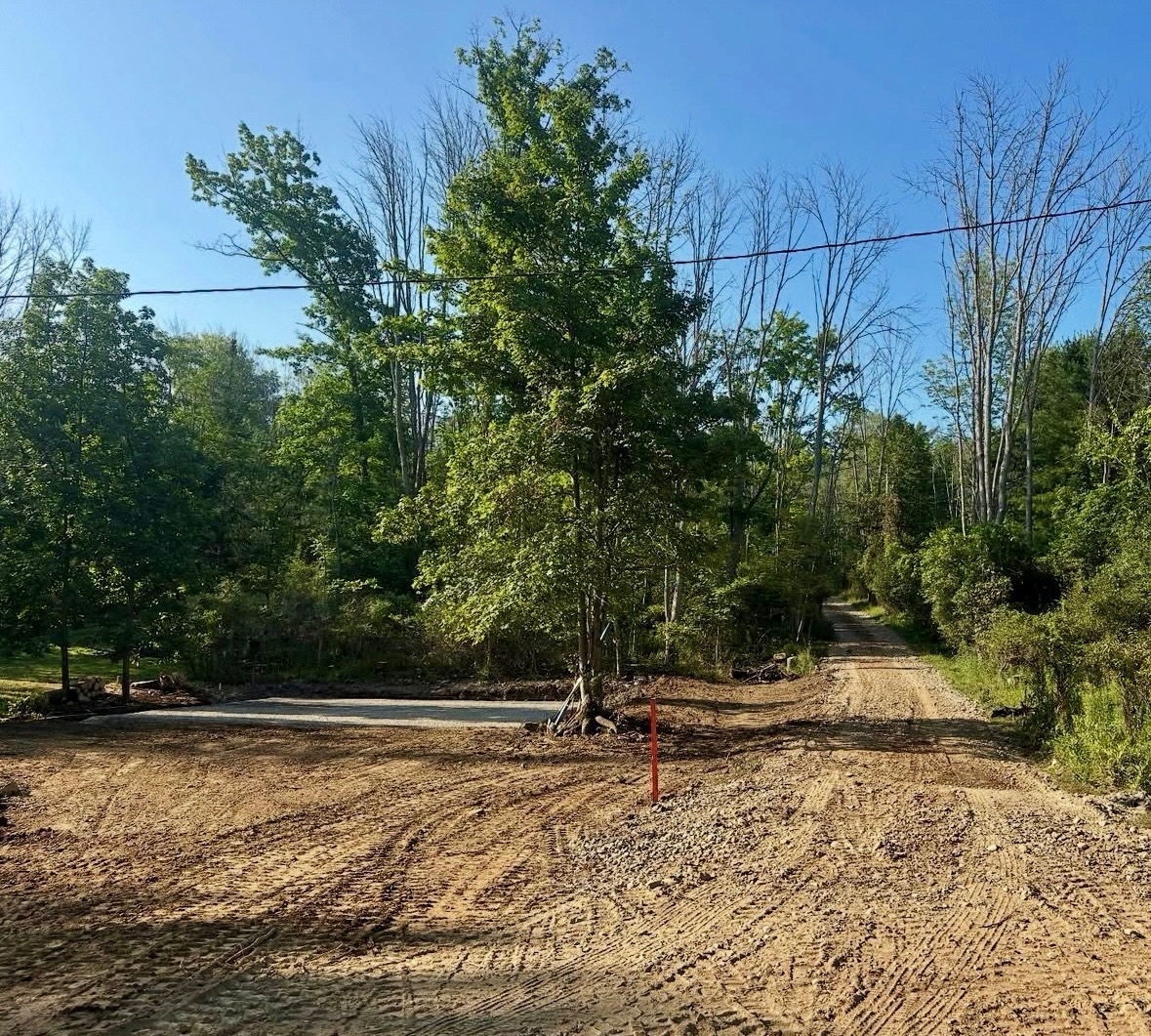 A dirt road with tire tracks, a tree in the center, and a clear blue sky, with green foliage on both sides.