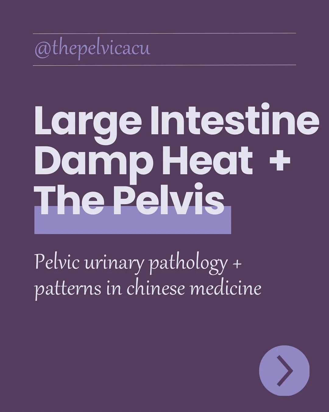 Large Intestine Damp Heat + The Pelvis ✨ Pelvic Urinary Pathology and patterns in Chinese Medicine 

Pathology : incontinence and pain 
Symptoms: 
🔹Diarrhea with mucus &amp; blood
🔹burning anus
🔹foul stools/flatulence
🔹pain
🔹scanty dark urine
🔹