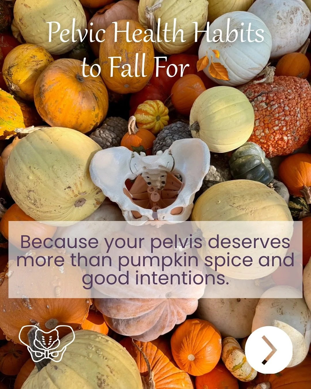As the seasons shift, our bodies crave rhythm, warmth, and restoration &mdash; and your pelvis is no exception.
From hydration to breathwork to rest, these small habits have a big impact on your pelvic and hormonal health.

💧 Hydration keeps your bl
