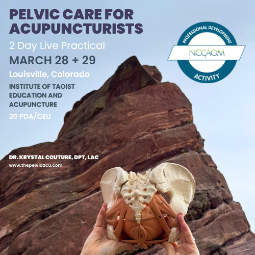 Pelvic Acupuncture Practical in Colorado: Hands-On Training for Acupuncturists