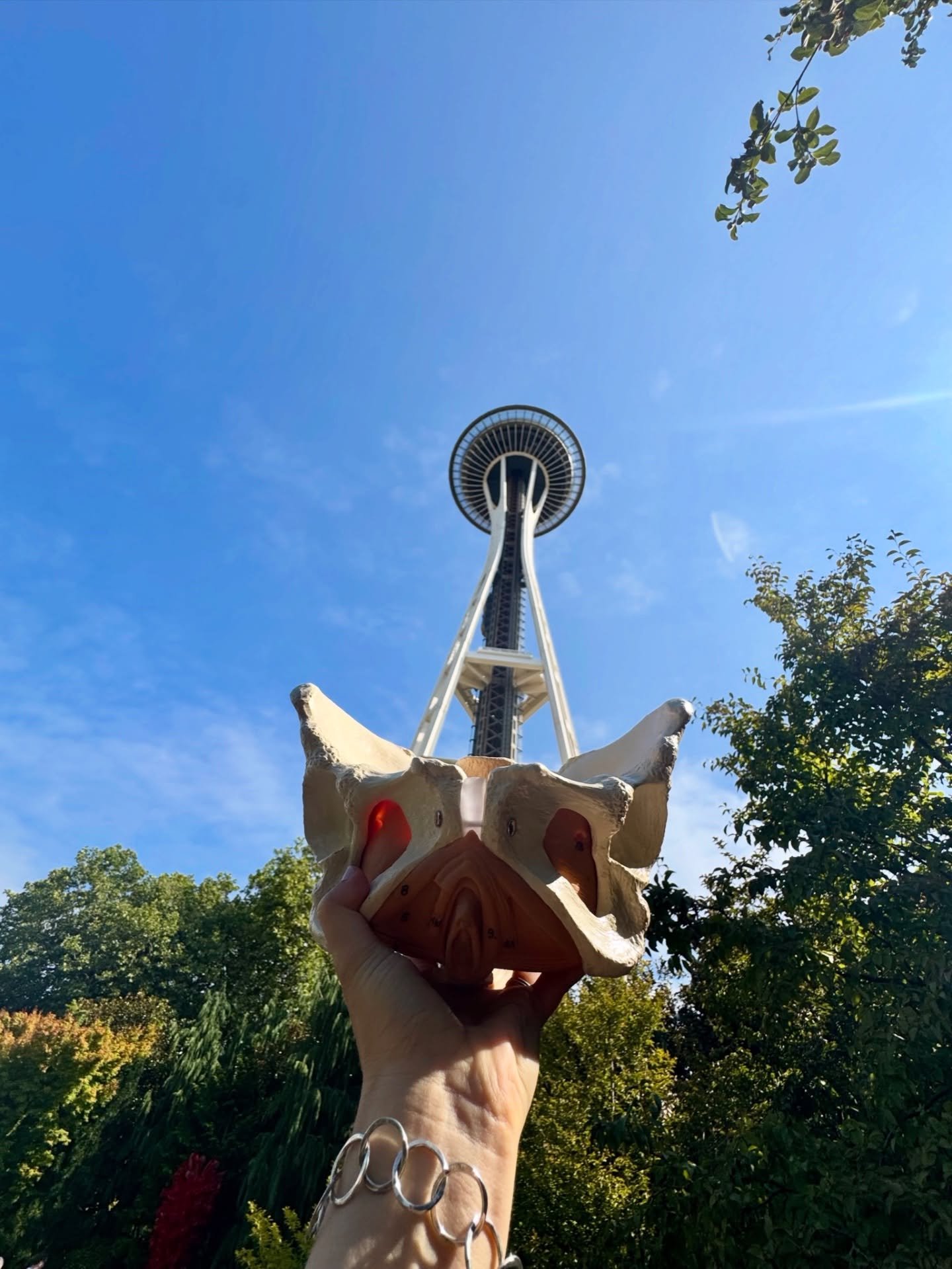 Can you guess where MELVIS will be heading back to Sept and November of 2026 for Pelvic Care Practicals?! 

Pictured are your two hints! 🌴

#pelvichealth #acupuncturistsofinstagram #continuingeducation #acupuncture