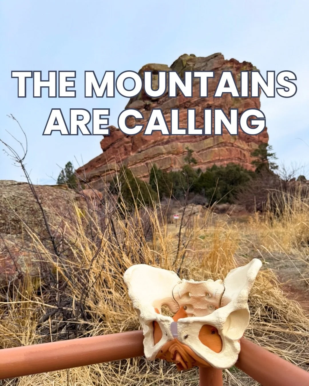 THE MOUNTAINS ARE CALLING ☎️

The Pelvic Acu is heading to Colorado next month for our FIRST practical of the year! We will be back at ITEA on March 28 + 29 for the Pelvic Care for Acupuncturists 2 day live practical! 

This hands on training is wort