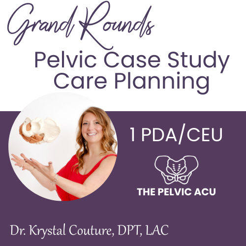 Pelvic Care Grand Rounds: Collaborative Case Discussion for Pelvic Health Practitioners 