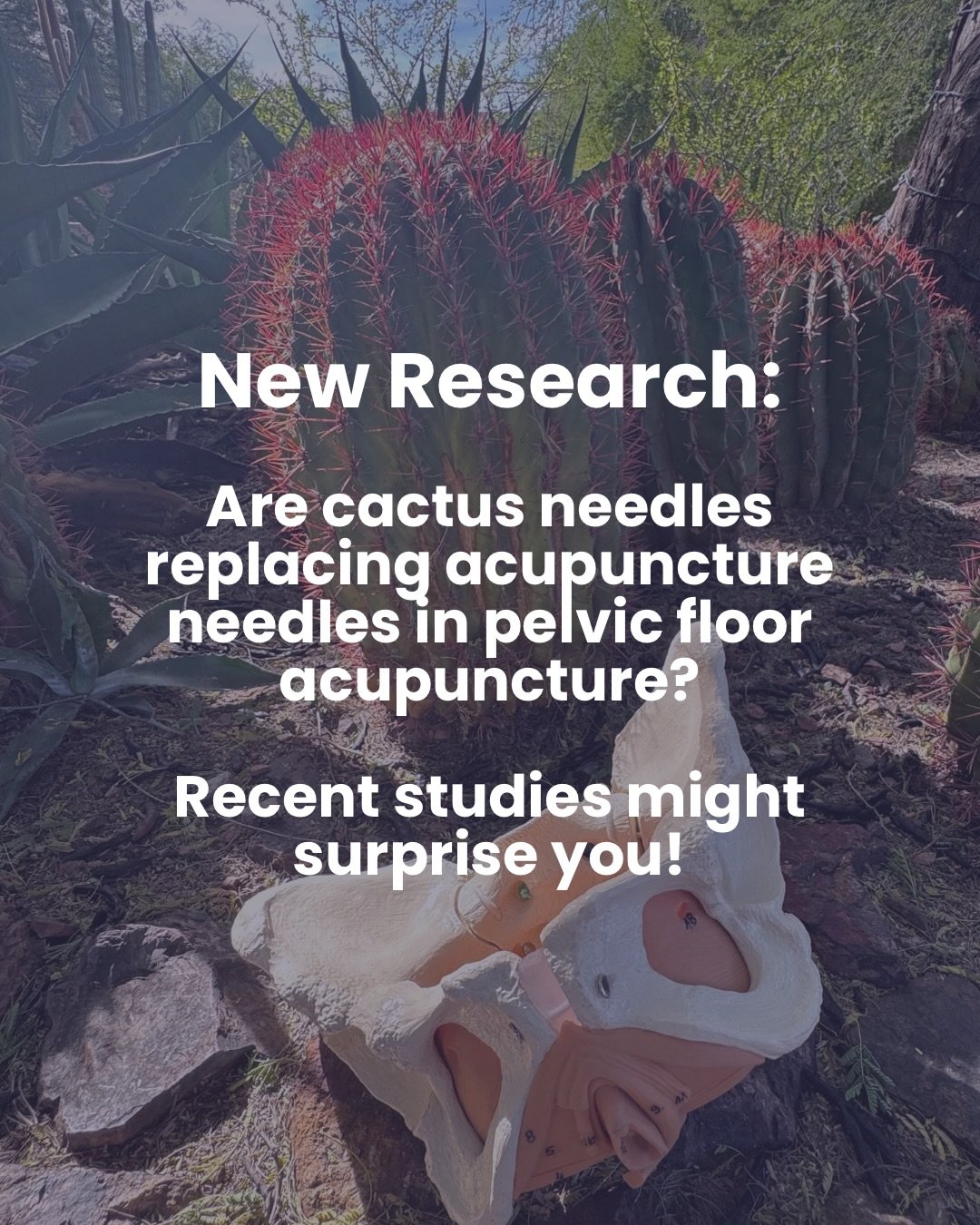 Breaking research. Revolutionary findings. Groundbreaking innovation&hellip;

&hellip;or maybe just a friendly reminder why precision, skill, and actual acupuncture needles matter 😉

We&rsquo;ll stick to refined technique, clinical reasoning, and ne