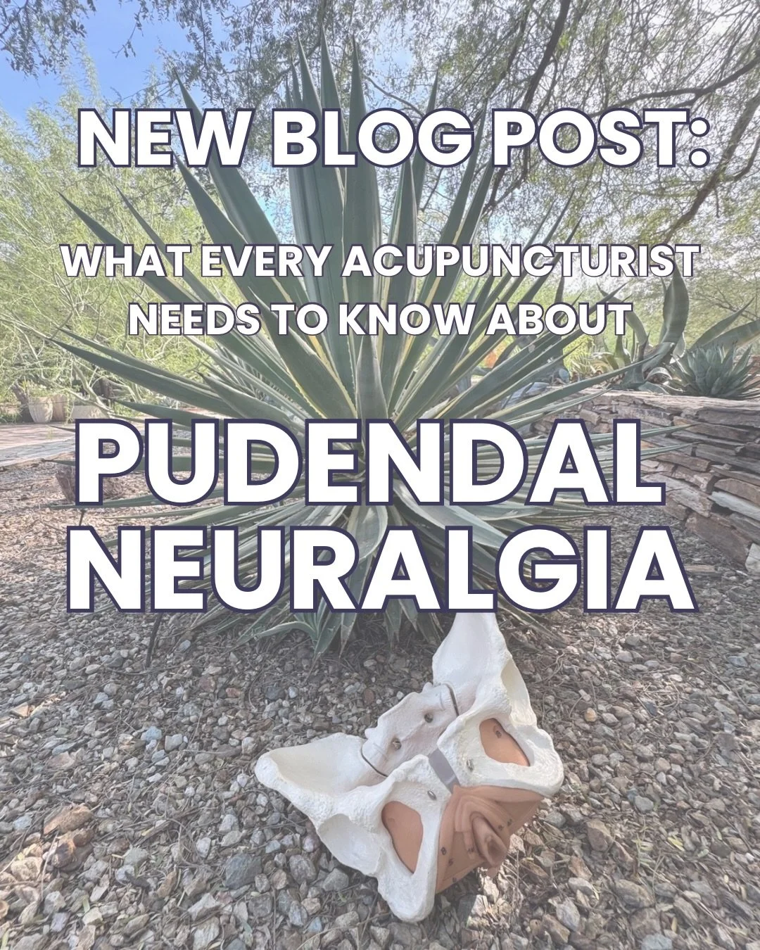 Pudendal neuralgia is one of the most overlooked conditions in pelvic health and yet the impact on patients is profound

Many are navigating years without answers, being passed from provider to provider before finding the right care ￼

We broke this 