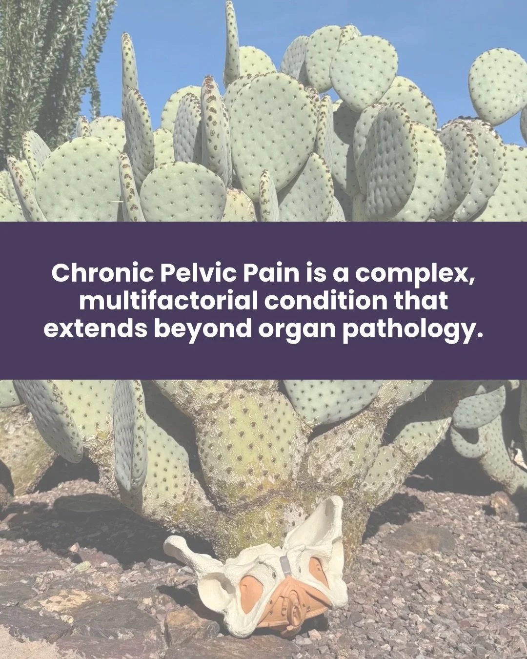 Published and pushing the conversation forward.

We are proud to share that Dr. Krystal Lynn Couture of The Pelvic Acu has been published in collaboration with Golden Flower Chinese Herbs.

This article brings light to a reality we see every day in p