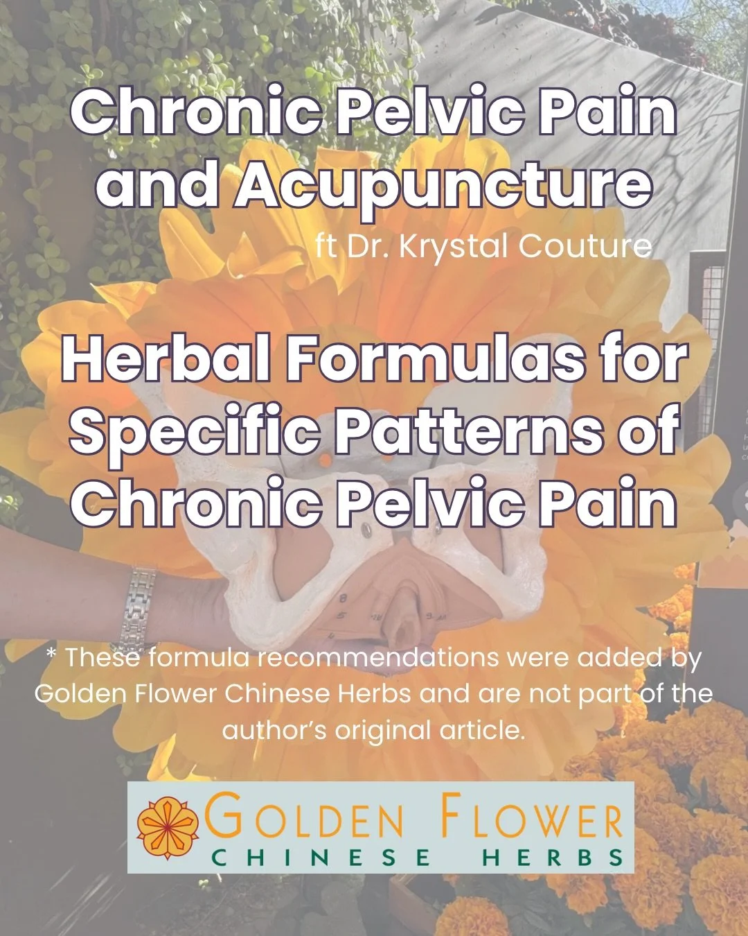 In collaboration with Golden Flower Chinese Herbs, Dr. Krystal Lynn Couture of The Pelvic Acu explores pattern based treatment approaches for chronic pelvic pain through the lens of Chinese medicine.

From Liver Qi stagnation to Kidney deficiency, th