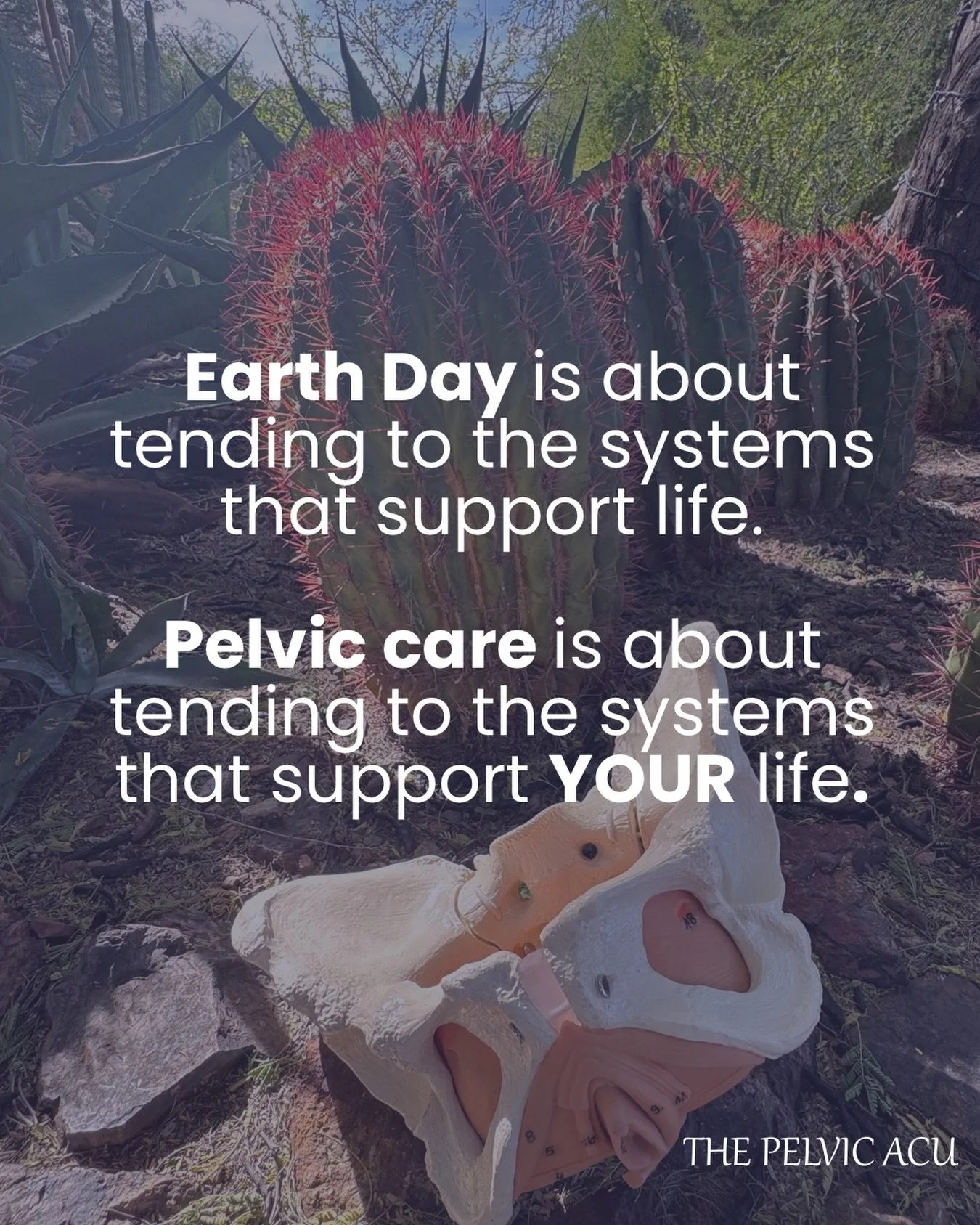 Earth Day isn&rsquo;t just a single day.. it&rsquo;s an open invitation. 

To slow down
To listen
To tend to what sustains us

The same way we&rsquo;re learning to care for the earth
we&rsquo;re invited to care for the systems within our own body

Yo