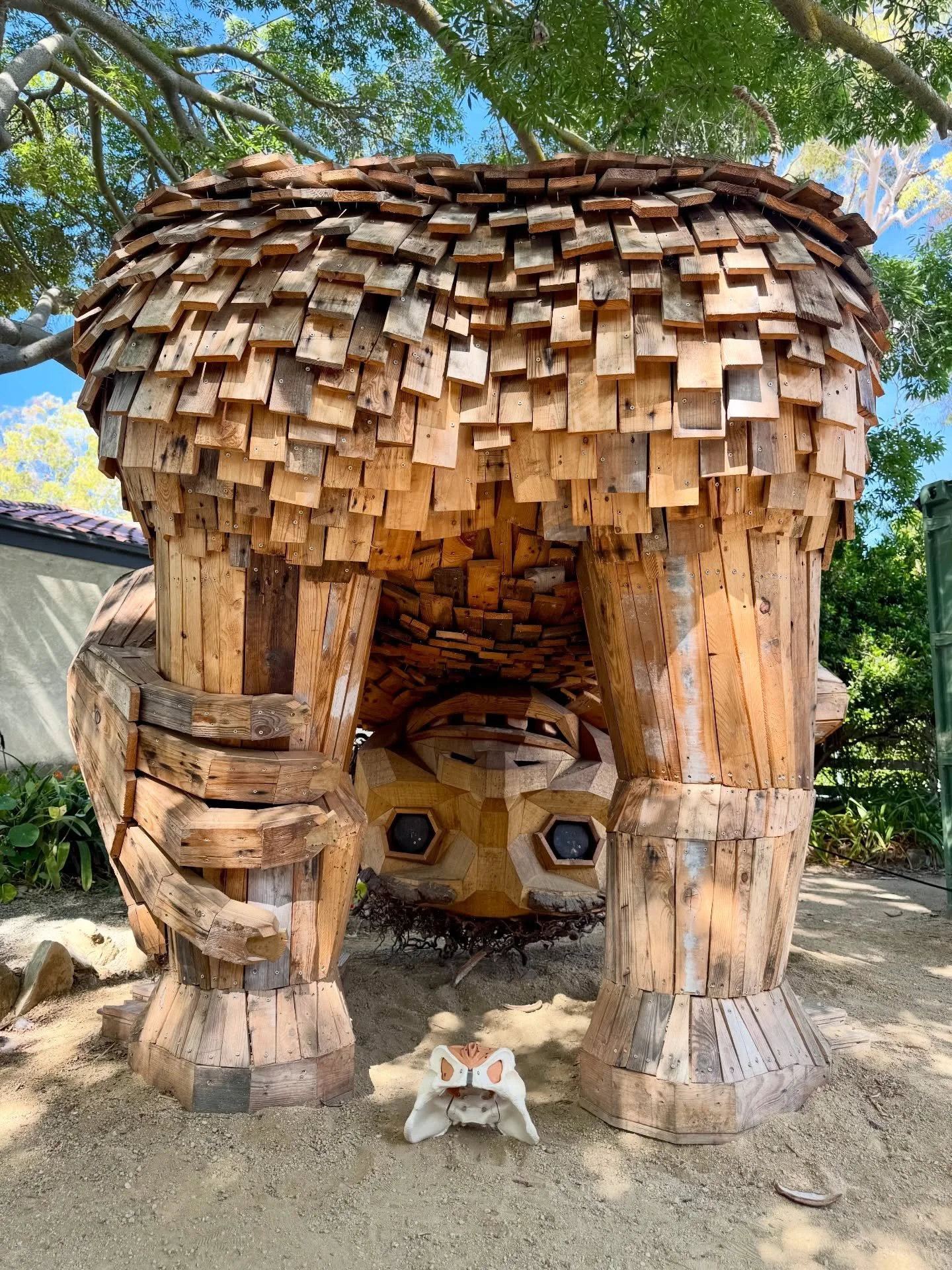 The adventures of MELVIS the Pelvis continue to Thomas Dambo Trolls in California🧌 

#acupuncturehumor #pelvichealth #trolls #acupuncturistsofinstagram