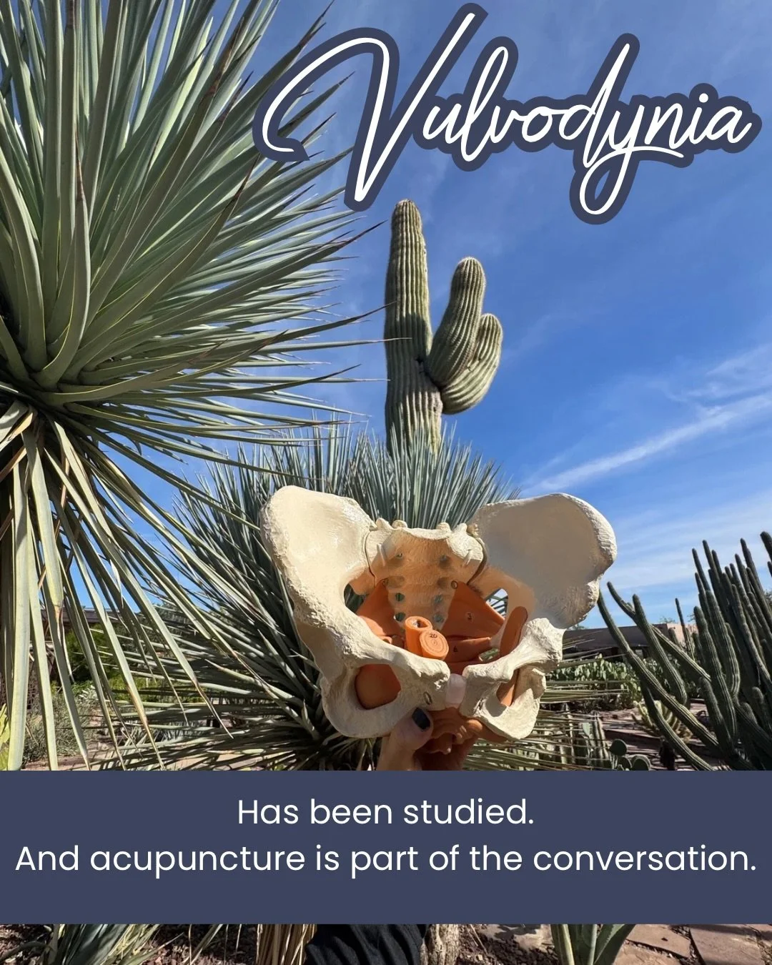 There is growing research supporting acupuncture in the treatment of vulvodynia.

Not just for short-term relief, but for sustained change.
And that&rsquo;s where things get interesting.

Because when you combine evidence-based protocols with a deepe