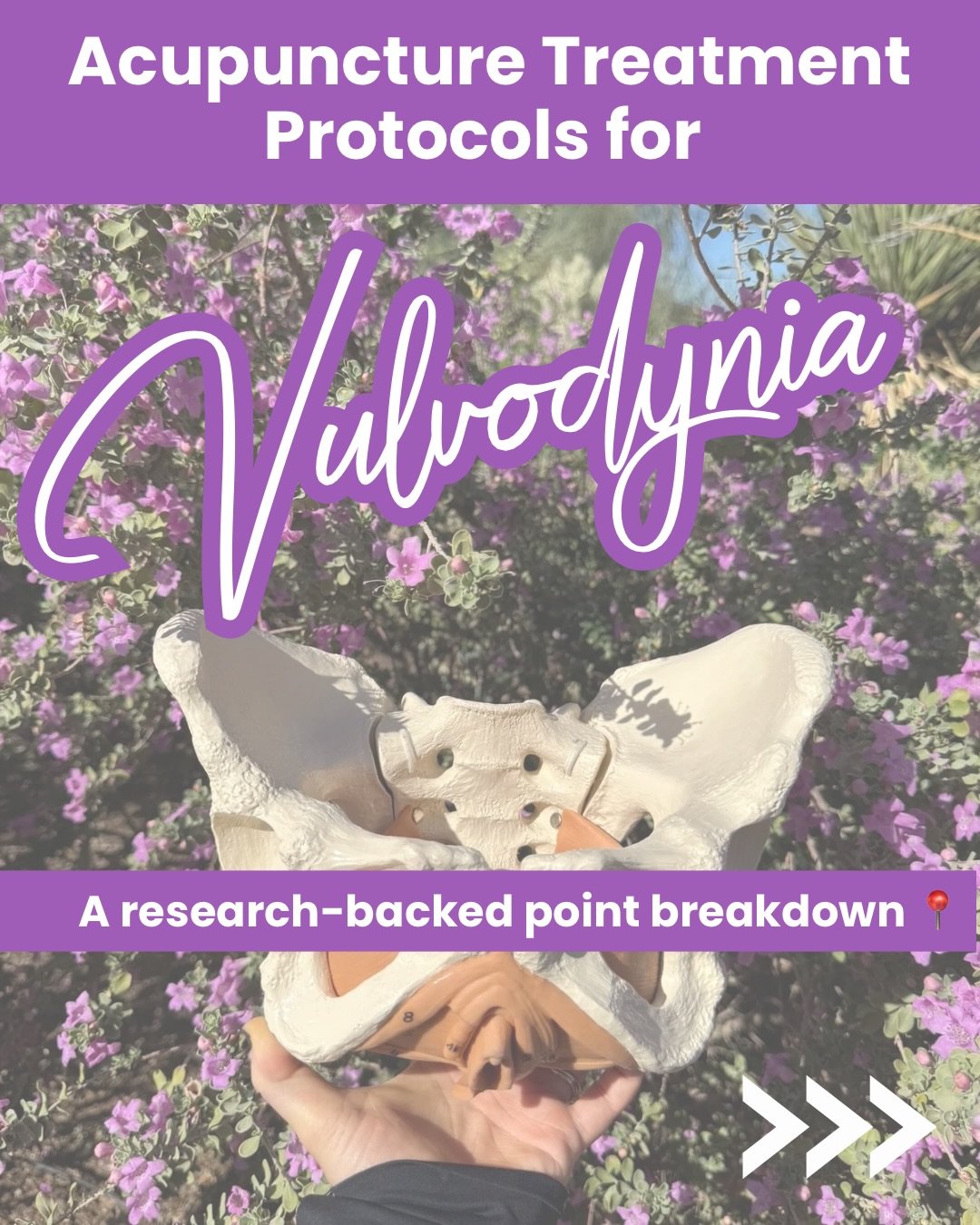 Vulvodynia is one of the most underdiagnosed and undertreated conditions in pelvic health, and acupuncture has a real evidence base here.

Swipe through for a breakdown of the standardized 13-needle protocol used in clinical research, including point