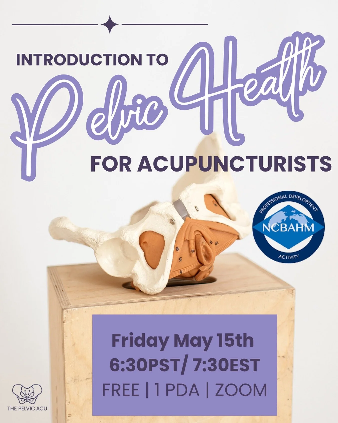 Chicago, this one is for you.

TOMORROW night I am teaching Introduction to Pelvic Health for Acupuncturists live on Zoom, and this is not the version you may have seen before. 

We have completely revamped this course and tomorrow is the very first 